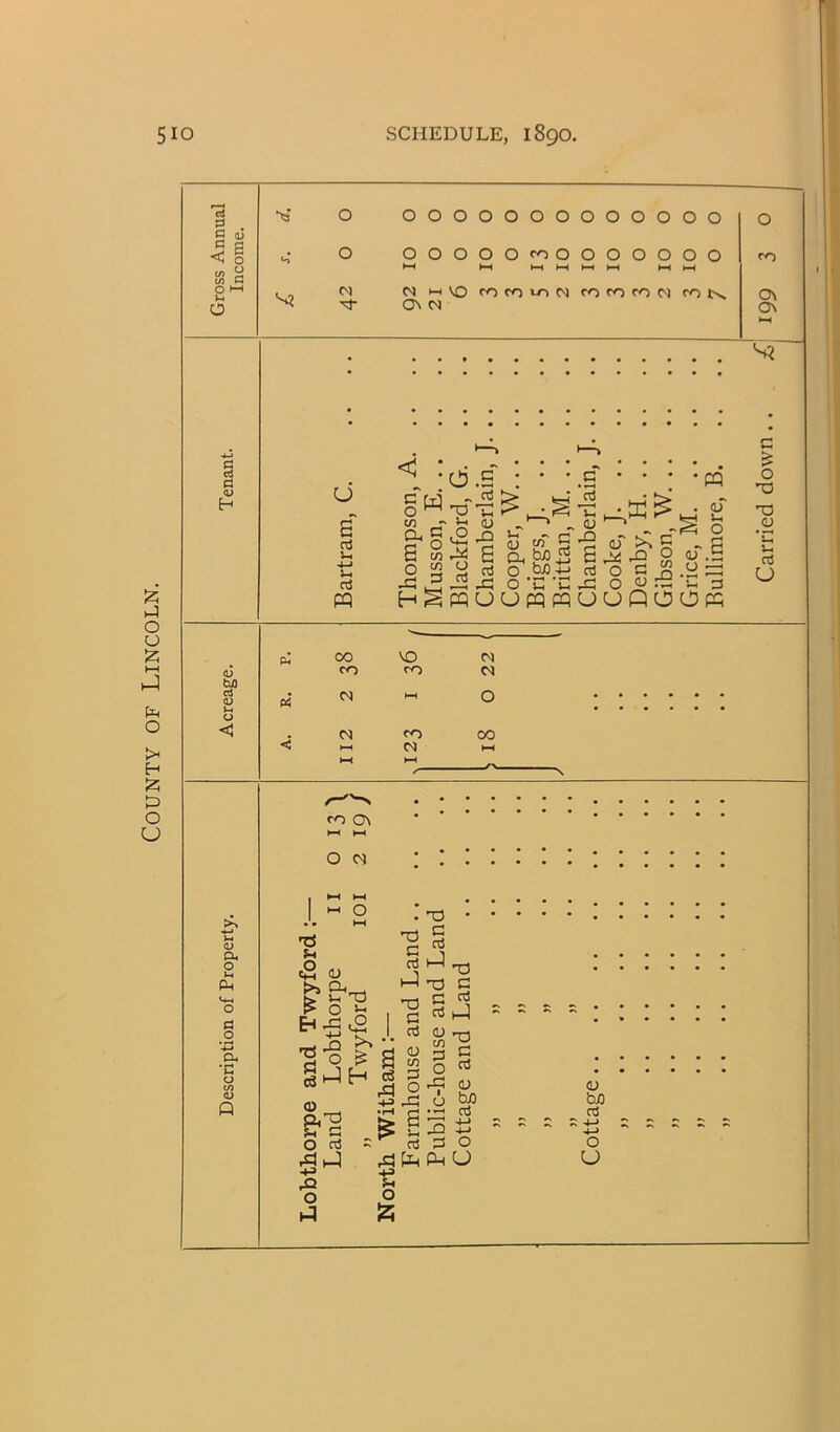 County of Lincoln.