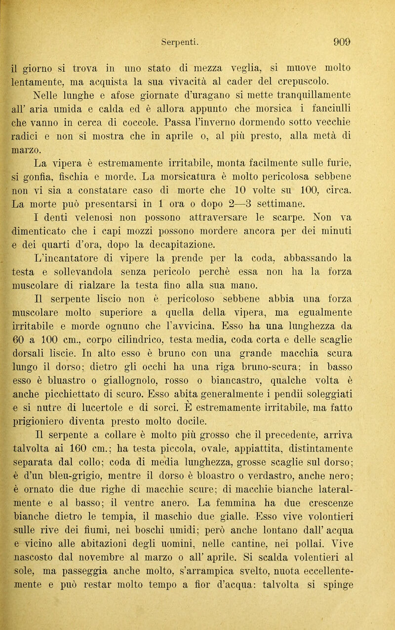 il giorno si trova in uno stato di mezza veglia, si muove molto lentamente, ma acquista la sua vivacità al cader del crepuscolo. Nelle lunghe e afose giornate d’uragano si mette tranquillamente all’ aria umida e calda ed è allora appunto che morsica i fanciulli che vanno in cerca di coccole. Passa l’inverno dormendo sotto vecchie radici e non si mostra che in aprile o, al più presto, alla metà di marzo. La vipera è estremamente irritabile, monta facilmente sulle furie, si gonfia, fischia e morde. La morsicatura è molto pericolosa sebbene non vi sia a constatare caso di morte che 10 volte su 100, circa. La morte può presentarsi in 1 ora o dopo 2—3 settimane. I denti velenosi non possono attraversare le scarpe. Non va dimenticato che i capi mozzi possono mordere ancora per dei minuti e dei quarti d’ora, dopo la decapitazione. L’incantatore di vipere la prende per la coda, abbassando la testa e sollevandola senza pericolo perchè essa non ha la forza muscolare di rialzare la testa fino alla sua mano. II serpente liscio non è pericoloso sebbene abbia una forza muscolare molto superiore a quella della vipera, ma egualmente irritabile e morde ognuno che ravvicina. Esso ha una lunghezza da 60 a 100 cm., corpo cilindrico, testa media, coda corta e delle scaglie dorsali liscie. In alto esso è bruno con una grande macchia scura lungo il dorso; dietro gli occhi ha una riga bruno-scura; in basso esso è bluastro o giallognolo, rosso o biancastro, qualche volta è anche picchiettato di scuro. Esso abita generalmente i pendìi soleggiati e si nutre di lucertole e di sorci. E estremamente irritabile, ma fatto prigioniero diventa presto molto docile. Il serpente a collare è molto più grosso che il precedente, arriva talvolta ai 160 cm.; ha testa piccola, ovale, appiattita, distintamente separata dal collo; coda di media lunghezza, grosse scaglie sul dorso; è d’un bleu-grigio, mentre il dorso è bioastro o verdastro, anche nero; è ornato die due righe di macchie scure; di macchie bianche lateral- mente e al basso; il ventre anero. La femmina ha due crescenze bianche dietro le tempia, il maschio due gialle. Esso vive volontieri sulle rive dei fiumi, nei boschi umidi; però anche lontano dall’acqua e vicino alle abitazioni degli uomini, nelle cantine, nei pollai. Vive nascosto dal novembre al marzo o all’ aprile. Si scalda volentieri al sole, ma passeggia anche molto, s’arrampica svelto, nuota eccellente- mente e può restar molto tempo a fior d’acqua: talvolta si spinge