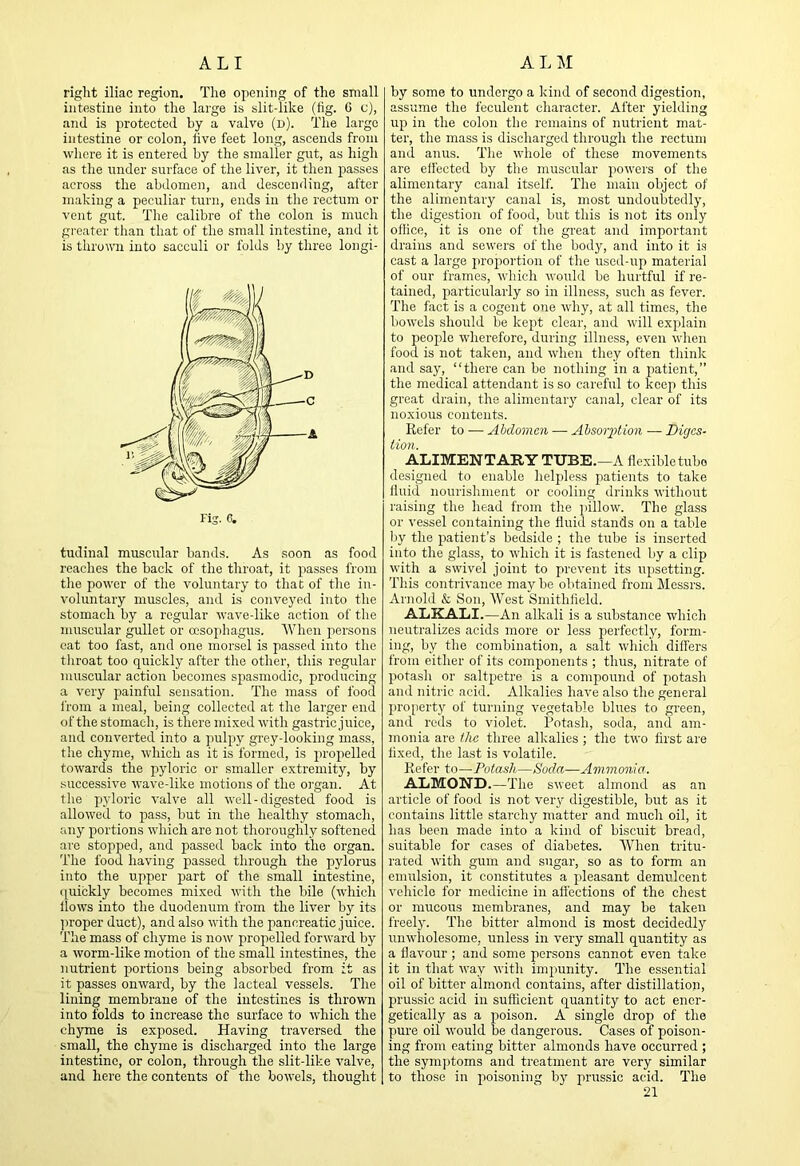 right iliac region. The opening of the small intestine into the large is slit-like (fig. 6 c), and is protected by a valve (d). The large intestine or colon, live feet long, ascends from where it is entered by the smaller gut, as high as the under surface of the liver, it then passes across the abdomen, and descending, after making a peculiar turn, ends in the rectum or vent gut. The calibre of the colon is much greater tlian that of the small intestine, and it is thrown into sacculi or folds by three longi- tudinal muscular bands. As .soon as food reaches the back of the throat, it passes from the power of the voluntary to that of the in- voluntary muscles, and is conveyed into the stomach by a regular wave-like action of the muscular gullet or oesophagus. 'When persons eat too fast, and one morsel is passed into the throat too quickly after the other, this regular muscular action becomes spasmodic, producing a very painful sensation. The mass of food irom a meal, being collected at the larger end of the stomach, is there mixed with gastric juice, and converted into a pulpy grey-looking mass, the chyme, which as it is formed, is propelled towards the pyloric or smaller extremity, by .successive wave-like motions of the organ. At tlie pyloric valve all well - digested food is allowed to pass, but in the healthy stomach, ;uiy portions which are not thoroughly softened are stopped, and passed back into the organ. The food having passed through the pylorus into the upper part of the small intestine, quickly becomes mixed with the bile (which Hows into the duodenum from the liver by its proper duct), and also with the pancreatic juice. The mass of chyme is now propelled forward by a worm-like motion of the small intestines, the nutrient portions being absorbed from it as it passes onward, by the lacteal vessels. The lining membrane of the intestines is thrown into folds to increase the surface to which the chyme is exposed. Having traversed the small, the chyme is discharged into the large intestine, or colon, through the slit-like valve, and here the contents of the bowels, thought by some to undergo a kind of second digestion, assume the feculent character. After yielding up in the colon the remains of nutrient mat- ter, the mass is discharged through the rectum and anus. The whole of these movements are eifected by the muscular powers of the alimentary canal itself. The main object of the alimentary canal is, most undoubtedly, the digestion of food, but this is not its only office, it is one of the great and important drains and sewers of the body, and into it is cast a large ])roportion of the used-up material of our frames, which would be hurtful if re- tained, particularly so in illness, such as fever. The fact is a cogent one why, at all times, the bowels should be kept clear, and will explain to people wherefore, during illness, even when food is not taken, and when they often think and say, “there can be nothing in a patient,” the medical attendant is so careful to kceii this great drain, the alimentary canal, clear of its noxious contents. Kefer to — Abdomen — Absorption — Diges- tion. ALIMENTARY TUBE.—A flexible tube designed to enable helpless patients to take iiuid nourishment or cooling drinks without raising the head from the i)illow. The glass or vessel containing the fluid stands on a table Ijy the patient’s bedside ; the tube is inserted into the glass, to wdiich it is fastened by a clip with a swivel joint to prevent its upsetting. This contrivance may be obtained from Messrs. Arnold & Son, West Smithiield. ALKALI.—An alkali is a substance which neutralizes acids more or less perfectly, form- ing, by the combination, a salt which differs from either of its components ; thus, nitrate of potash or saUqjetre is a compound of potash and nitric acid. Alkalies have also the general property of turning vegetable blues to green, and reds to violet. Potash, soda, and am- monia are the three alkalies ; the two first are fixed, the last is volatile. Refer to—Potash—Soda—Ammonia. ALMOND.—The sweet almond as an article of food is not veiqr digestible, but as it contains little starchy matter and much oil, it has been made into a kind of biscuit bread, suitable for cases of diabetes. When tritu- rated with gum and sugar, so as to form an emulsion, it constitutes a pleasant demulcent vehicle for medicine in aflections of the chest or mucous membranes, and may be taken freelj'. The bitter almond is most decidedly unwholesome, unless in very small quantity as a flavour ; and some persons cannot even take it in that way with impunity. The essential oil of bitter almond contains, after distillation, prussic acid in sufficient quanti ty to act ener- getically as a poison. A single drop of the pure oil would be dangerous. Cases of poison- ing from eating bitter almonds have occurred ; the symptoms and treatment are very similar to those in poisoning by prussic acid. The