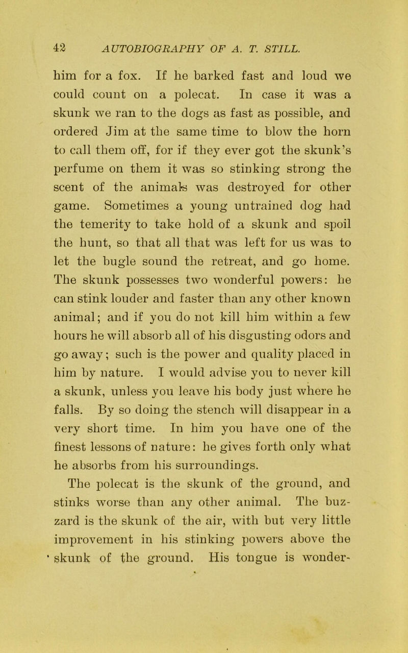 him for a fox. If he barked fast and loud we could count on a polecat. In case it was a skunk we ran to the dogs as fast as possible, and ordered Jim at the same time to blow the horn to call them off, for if they ever got the skunk’s perfume on them it was so stinking strong the scent of the animals was destroyed for other game. Sometimes a young untrained dog had the temerity to take hold of a skunk and spoil the hunt, so that all that was left for us was to let the bugle sound the retreat, and go home. The skunk possesses two wonderful powers: he can stink louder and faster than any other known animal; and if you do not kill him within a few hours he will absorb all of his disgusting odors and go away; such is the power and quality placed in him by nature. I would advise you to never kill a skunk, unless you leave his body just where he falls. By so doing the stench will disappear in a very short time. In him you have one of the finest lessons of nature: he gives forth only what he absorbs from his surroundings. The polecat is the skunk of the ground, and stinks worse than any other animal. The buz- zard is the skunk of the air, with but very little improvement in his stinking powers above the * skunk of the ground. His tongue is wonder-