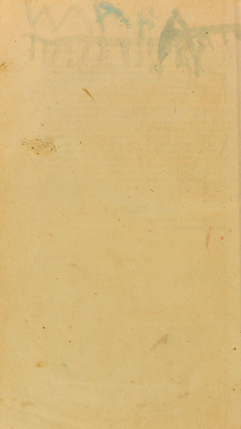 • \ ✓ ts ■ % \ / •I t t • V.’'- V / s ? I :iii ■■ '■ • 1 • I