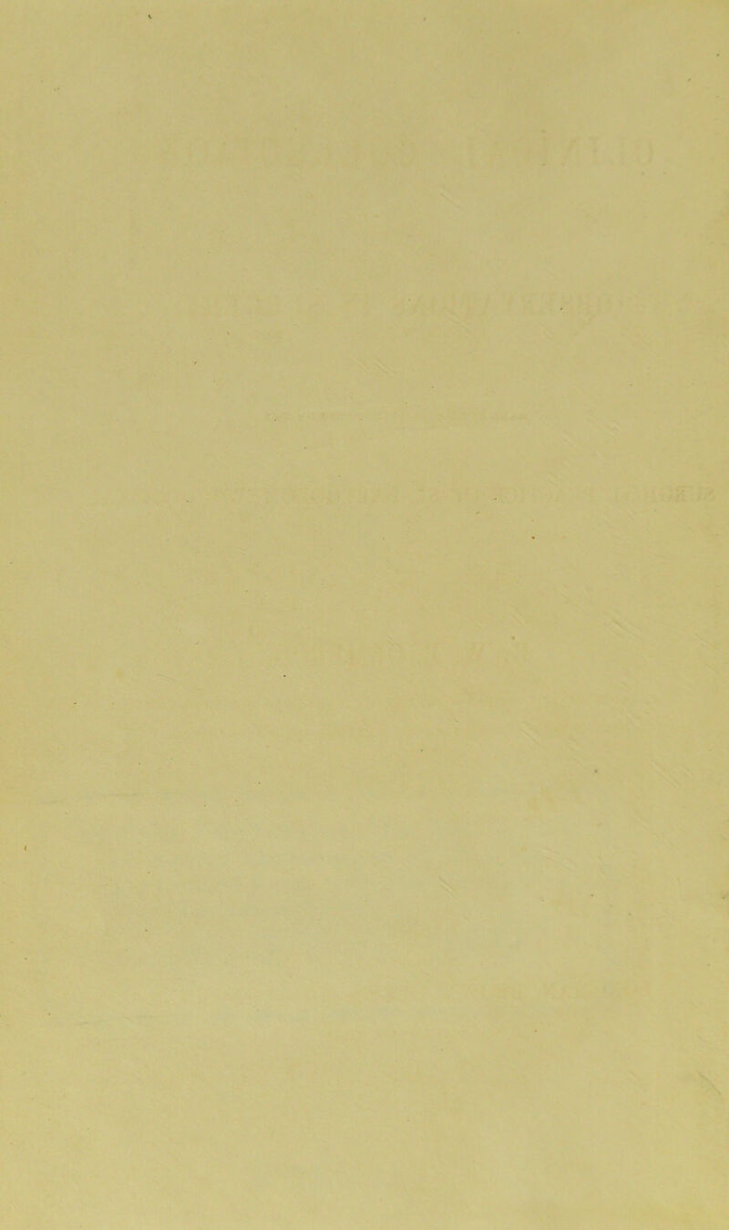 Vi 4 J’f V- •3. .«»{<•