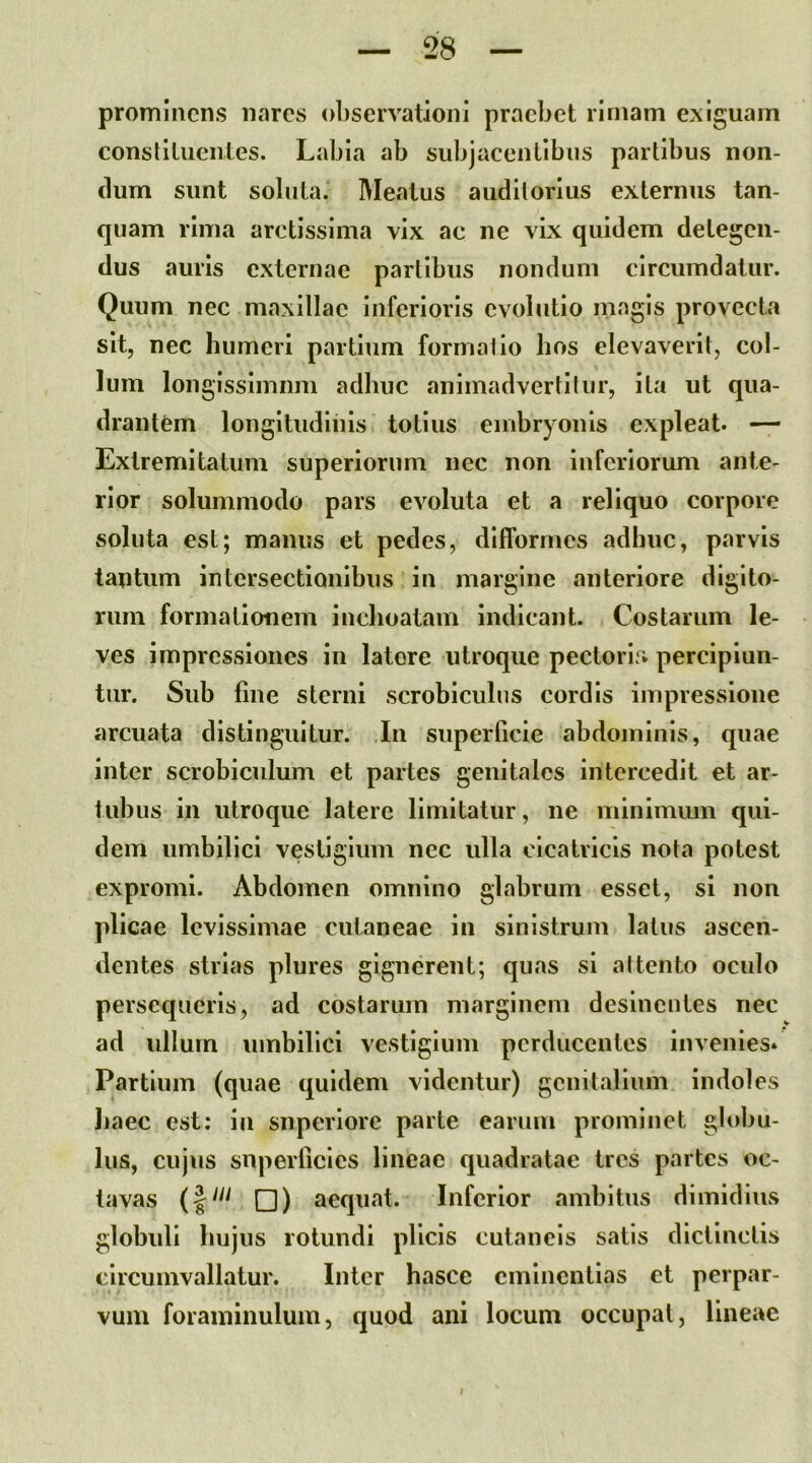 prominens nares observationi praebet rirnam exiguam constituentes. Labia ab subjacentibus partibus non- dum sunt soluta. Meatus auditorius externus tan- quam rima arctissima vix ac ne vix quidem detegen- dus amis externae partibus nondum circumdatur. Quum nec maxillae inferioris evolutio magis provecta sit, nec humeri partium formatio hos elevaverit, col- lum longissimum adhuc animadvertitur, ita ut qua- drantem longitudinis totius embryonis expleat. — Extremitatum superiorum nec non inferiorum ante- rior solummodo pars evoluta et a reliquo corpore soluta est; manus et pedes, dlfforrncs adhuc, parvis tantum intersectionibus in margine anteriore digito- rum formationem inchoatam indicant. Costarum le- ves impressiones in latere utroque pectoris percipiun- tur. Sub fine sterni scrobiculos cordis impressione arcuata distinguitur. In superficie abdominis, quae inter scrobiculum et partes genitales intercedit et ar- tubus in utroque latere limitatur, ne minimum qui- dem umbilici vestigium nec ulla cicatricis nota potest expromi. Abdomen omnino glabrum esset, si non plicae levissimae cutaneae in sinistrum latus ascen- dentes strias plures gignerent; quas si attento oculo persequeris, ad costarum marginem desinentes nec ad ullum umbilici vestigium perducentes invenies* Partium (quae quidem videntur) genitalium indoles haec est: in snperlore parte earum prominet globu- lus, cujus superficies lineae quadratae tres partes oc- tavas □) aequat. Inferior ambitus dimidius globuli hujus rotundi plicis cutaneis satis dictinctis circumvallatur. Inter hasce eminentias et perpar- vum foraminuluin, quod ani locum occupat, lineae