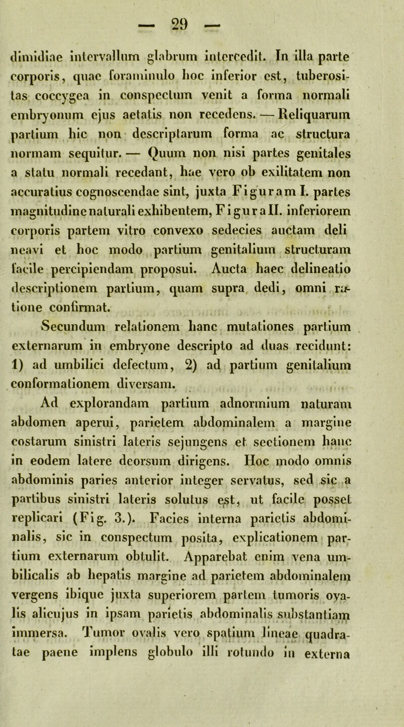 (liniiiline inlcrvollnm glabrum intercedit. In illa parte corporis, quae foramlnulo lioc inferior est, tuberosi- tas coccygea in conspectum venit a forma normali embryonum ejus aetatis non recedens. — Reliquarum partium hic non descriptarum forma ac structura normam sequitur. — Quum non nisi partes genitales a statu normali recedant, hae vero ob exilitatem non accuratius cognoscendae sint, juxta Figuram I. partes magnitudine naturali exhibentem, Figurall. inferiorem corporis partem vitro convexo sedecies auctam deli neavl et hoc modo partium genitalium structuram facile percipiendam proposui. Aucta haec delineatio descriptionem partium, quam supra dedi, omni tione confirmat. Secundum relationem hanc mutationes partium externarum in embryone descripto ad duas recidunt: 1) ad umbilici defectum, 2) ad partium genitalium conformationem diversam. Ad explorandam partium adnormium naturam abdomen aperui, parietem abdominalem a margine costarum sinistri lateris sejungens et sectionem hanc in eodem latere deorsum dirigens. Hoc modo omnis abdominis paries anterior integer servatus, sed sic a partibus sinistri lateris solutus qst, ut facile posset replicari (Fig. 3.). Facies interna parietis abdomi- nalis, sic in conspectum posita, explicationem par- tium externarum obtulit. Apparebat enim vena um- bilicalis ab hepatis margine ad parietem abdominalem vergens iblque juxta superiorem partem tumoris ova- lis allcujus in ipsam parietis abdominalis substantiam immersa. Tumor ovalis vero spatium lineae quadra- tae paene implens globulo illi rotundo in externa