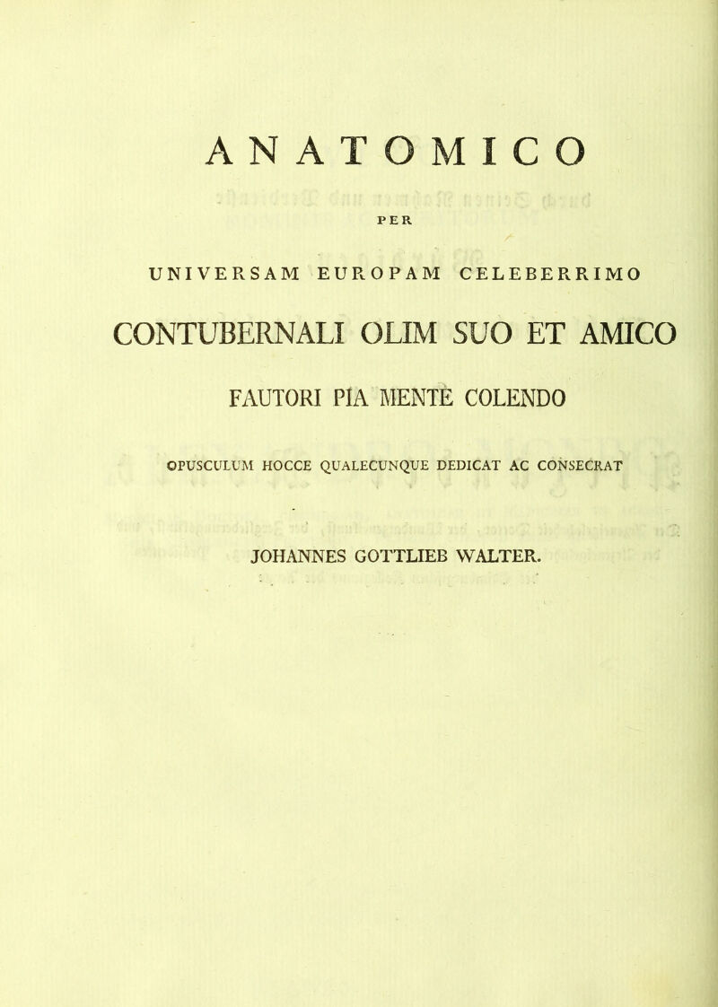 ANATOMICO UNIVERSAM EUROPAM CELEBERRIMO CONTUBERNALI OLIM SUO ET AMICO FAUTORI PIA MENTE COLENDO OPÜSCÜLUM HOCCE QUALECUNQUE DEDICAT AC CONSECRAT JOHANNES GOTTLIEB WALTER.