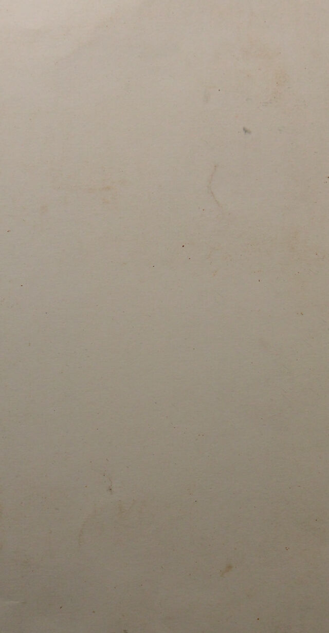 digitised image 2