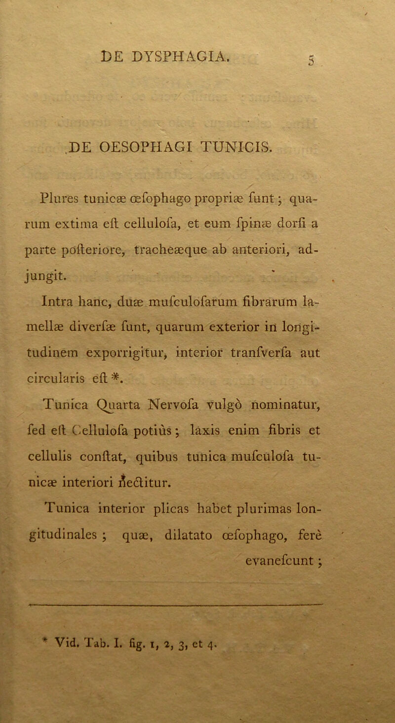 DE OESOPHAGI TUNICIS. Plures tunicae oefophago propriae funt; qua- rum extima eft cellulofa, et eum fpinae dorfi a parte pofteriore, tracheaeque ab anteriori, ad- jungit. Intra hanc, duse mufculofarum fibrarum la- mellae diverfae funt, quarum exterior in longi- tudinem exporrigitur, interior tranfverfa aut circularis eft Tunica Quarta Nervofa vulgb nominatur, fed eft Cellulofa potius; laxis enim fibris et cellulis conftat, quibus tunica mufculofa tu- nicae interiori fiedlitur. Tunica interior plicas habet plurimas lon- gitudinales ; quae, dilatato oefophago, fere evanefcunt; Vid. Tab. I. fig. i, 2, 3, et 4,