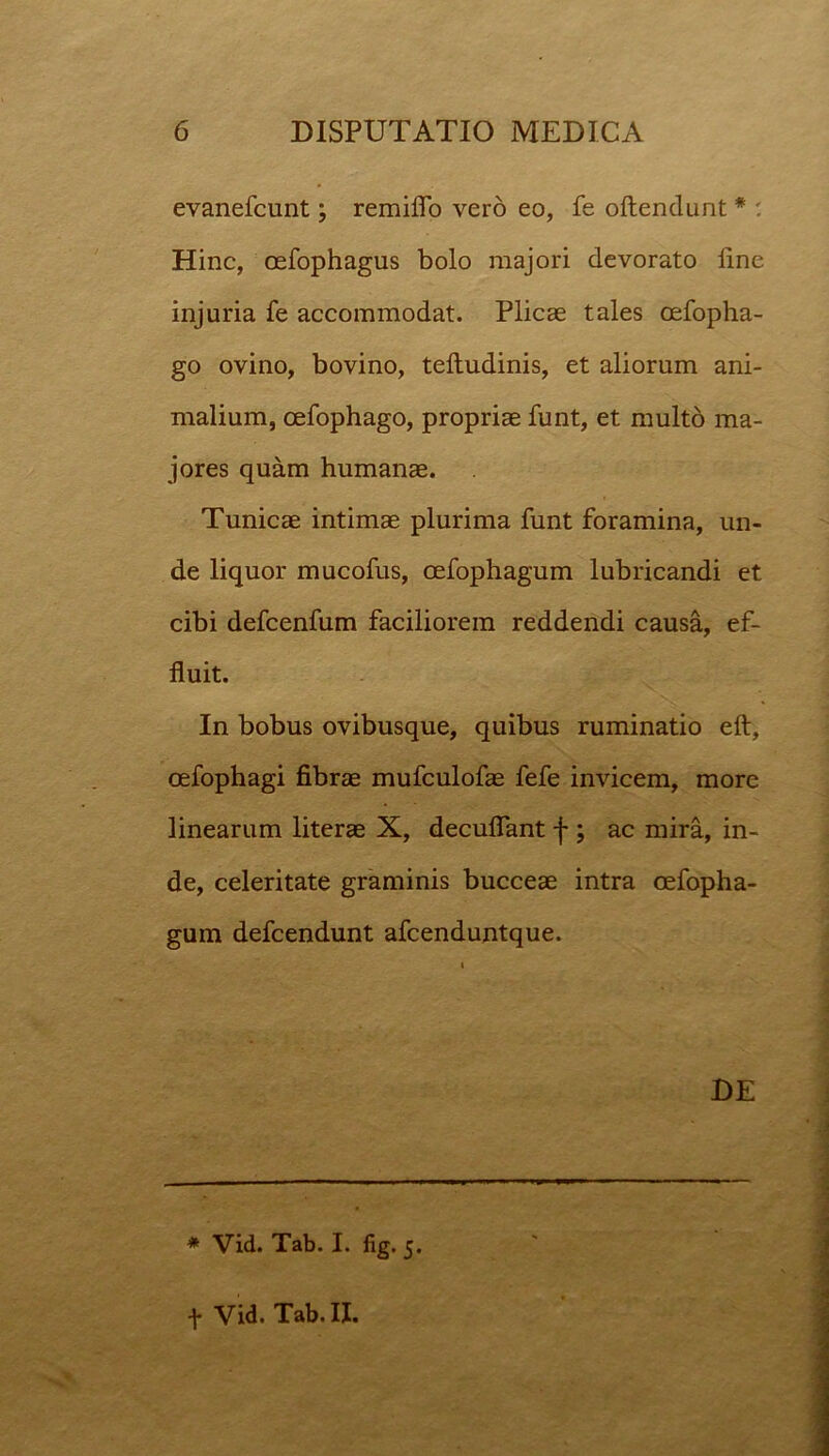 evanefcunt; remiflo vero eo, fe oftendunt * : Hinc, oefophagus bolo majori devorato Une injuria fe accommodat. Plicae tales oefopha- go ovino, bovino, teftudinis, et aliorum ani- malium, cefophago, propriae funt, et multo ma- jores quam humanae. Tunicae intimae plurima funt foramina, un- de liquor mucofus, oefophagum lubricandi et cibi defcenfum faciliorem reddendi causa, ef- fluit. In bobus ovibusque, quibus ruminatio eft, oefophagi fibrae mufculofae fefe invicem, more linearum literae X, decuflant f ; ac mira, in- de, celeritate graminis bucceae intra oefopha- gum defcendunt afcenduntque. DE * Vid. Tab. I. fig. 5. -j- Vid. Tab. II.