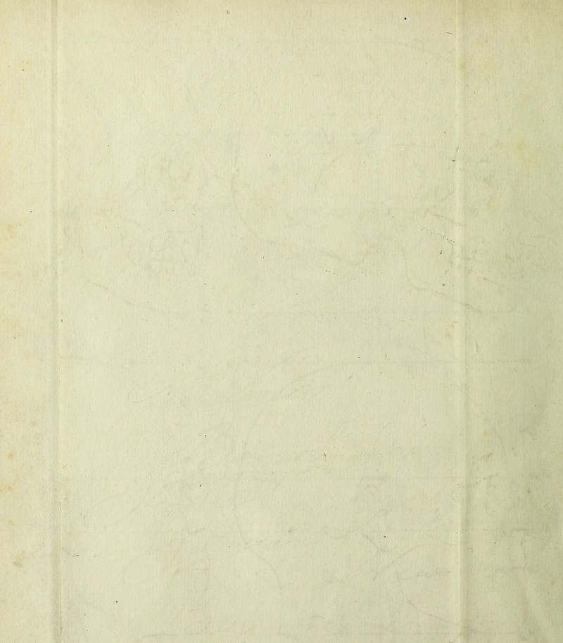 •» 'î| t>r ■ ' h V ■ - .V- t ' ■ ),