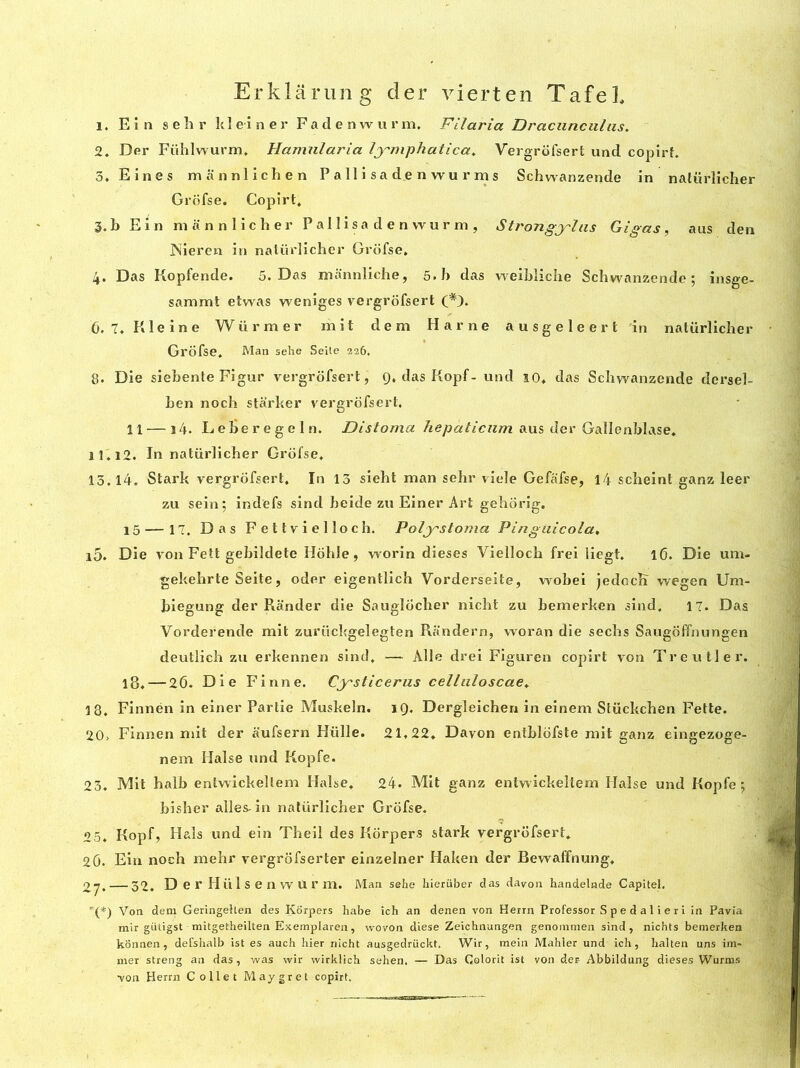 1. Ein sehr kl einer Fadenwurm. F il aria Draciinciihis. 2. Der Fühlwurm. Hamnlaria lymphatica. Vergrofsert und copirt. 3. Eines mannlichen P a 11 i s a de n wu r m s Schwanzende in natürlicher Grofse. Copirt. 3. b Ein mannlicher P a 11 i s a d e n w u r m , Strongylas Gigas, aus den JNieren in natürlicher Grofse, 4. Das Kopfende. 5. Das mannliche, 5. b das weibliclie Schwanzende; insge- sammt etwas weniges vergrofsert (*). 0. 7, K1 e i n e Wiirraer mit d e m Marne a u s g e 1 e e r t in natürlicher Grofse. Man sehe Seite 226. 8. Die siebente Figur vergrofsert, 9, dasKopf- und 10. das Schwanzende dersel- ben noch starker vergrofsert. 11 — i4. Leberegeln. Distoma hepaticum aus der Gallenblase, ll.i2. In natürlicher Grofse. 13,14. Stark vergrofsert. In 13 sieht man sehr viele Gefafse, 14 scheint ganz leer zu sein; indefs sind beide zu Einer Art gehorig. 15 — 17. Das Fettvielloch. Polystoma Pingiiicola, i5. Die von Fett gebildete Hohle, worin dieses Vielloch frei liegt. 16. Die um- gekehrte Seite, oder eigentlich Vorderseite, wobei jedcch wegen Um- biegung der Rânder die Sauglocher nicht zu bemerken sind. 17. Das Vorderende mit zurückgelegten Randern, woran die sechs Saugoffnungen deutlich zu erkennen sind, — Aile drei Figuren copirt von Treu tier. 18. — 26. Die Finne. Cysticerus cellaloscae. 18. Finnén in einer Partie Muskeln. 19. Dergleichen in einem Stückchen Fette. 20> Finnen mit der aufsern Hülle. 21,22. Davon entblofste mit ganz eingezoge- nem Halse und Kopfe. 23. Mit halb entwickellem Halse. 24. Mit ganz entwickeîtem Halse und Kopfe ; bisher ailes-in natürlicher Grofse. 95. Kopf, Hais und ein Theil des Korpers stark vergrofsert. 2ô. Ein noch mehr vergrofserter einzelner Haken der Bewaffnung. 07. — 32. Der Hülsenwûr m. Mari sehe hierüber das davon handelnde Capitel. '(*) Von dem Geringelten des Korpers habe ich an denen von Herrn Professor S p e d a 1 i e r i in Pavia mir gütigst mitgetheilten Exemplaren, wovon diese Zeichnungen genomnxen sind , nichts bemerken konnen, defshalb ist es auch hier nicht ausgedriickt. Wir, mein Mahler und ich, halten uns im- mer streng an das, was wir wirklich sehen. — Das Golorit ist von der Abbildung dieses Wurms von Herrn Collet Maygret copirt.