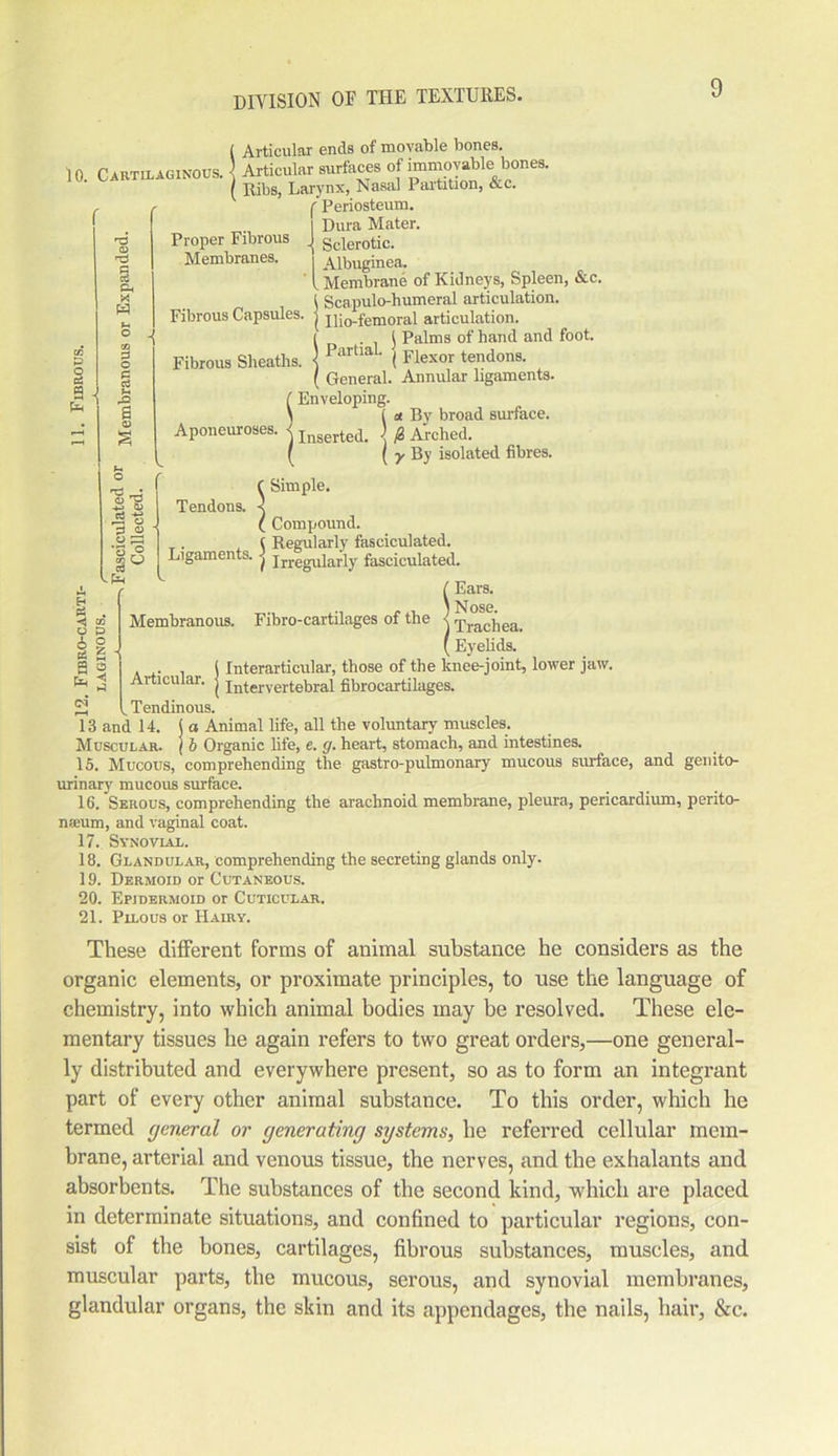 ( Articular ends of movable bones. 10. Cartilaginous. Articular surfaces of immovable bones. ( Ribs, Larynx, Nasal Partition, &c. Periosteum. f o - 9 £ n3 o § Ph X W P o § S o s ^3 r-H +-> 0) Hj A-> rS O 2 0 o *o © ■ ptl Proper Fibrous Membranes. Fibrous Sheaths. Aponeuroses. Tendons. Dura Mater. Sclerotic. Albuginea. v Membrane of Kidneys, Spleen, &c. I Scapulo-humeral articulation. Fibrous Capsules, j ]];0-femoral articulation. I l Palms of hand and foot. ) Partial. j Flexor tendon8. ( General. Annular ligaments. Enveloping. i a. By broad surface. Inserted. < /2 Arched. ( y By isolated fibres. Simple. „ Compound. ( Regularly fasciculated. Ligaments. ^ irregularly fasciculated. § o A A 9 Membranous. Fibro-cartilages of the ' Ears. ) Nose, i Trachea. ' Eyelids. j Interarticular, those of the knee-joint, lower jaw. (Intervertebral fibrocartilages. Articular. _ Tendinous. 13 and 14. (a Animal life, all the voluntary muscles. Muscular. / b Organic life, e. g. heart, stomach, and intestines. 15. Mucous, comprehending the gastro-pulmonary mucous surface, and genito- urinary mucous surface. 16. Serous, comprehending the arachnoid membrane, pleura, pericardium, perito- naeum, and vaginal coat. 17. Synovial. 18. Glandular, comprehending the secreting glands only. 19. Dermoid or Cutaneous. 20. Epidermoid or Cuticular. 21. Pilous or Hairy. These different forms of animal substance he considers as the organic elements, or proximate principles, to use the language of chemistry, into which animal bodies may be resolved. These ele- mentary tissues he again refers to two great orders,—one general- ly distributed and everywhere present, so as to form an integrant part of every other animal substance. To this order, which he termed general or generating systems, he referred cellular mem- brane, arterial and venous tissue, the nerves, and the exhalants and absorbents. The substances of the second kind, which are placed in determinate situations, and confined to particular regions, con- sist of the bones, cartilages, fibrous substances, muscles, and muscular parts, the mucous, serous, and synovial membranes, glandular organs, the skin and its appendages, the nails, hair, &c.
