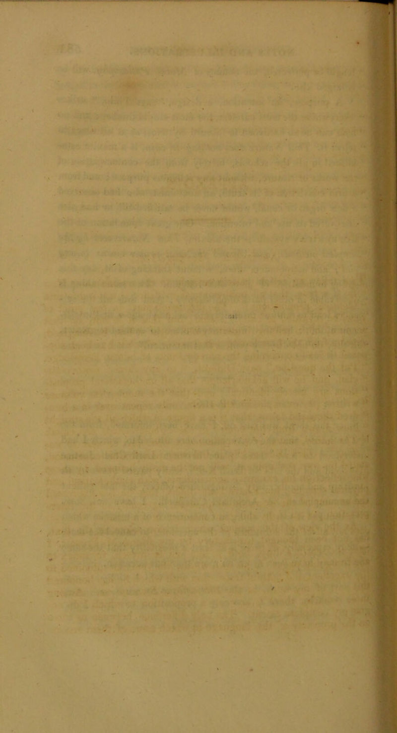 * ' ~ if. ■ _ - ■ 1 J • / . ’ ' •■ .