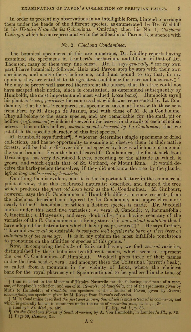 In order to present my observations in an intelligible form, I intend to arrange them under the heads of the different species, as enumerated by Dr. Weddell in his Histoire Naturelle des Quinquinas. Omitting then his No. 1, Cinchona Calisaya, which has no representative in the collection of Pavon, I commence with No. 2. Cinchona Condaminea. The botanical specimens of this are numerous, Dr. Lindley reports having examined six specimens in Lambert’s herbarium, and fifteen in that of Dr. Thomson, many of them very fine ones}. Dr. L. says generally, “ for my own part I have botanically followed Ruiz and Pavon step by step with their own specimens, and many others before me, and I am bound to say that, in my opinion, they are entitled to the greatest confidence for care and accuracy}.” We may be pretty well assured therefore at the outset, that this tree could not have escaped their notice, since it constituted, as determined subsequently by Humboldt, the most important and most valued Loxa bark§. Humboldt says || his plant is “ very positively the same as that which was represented by La Con- damine,” that he has “ compared his specimens taken at Loxa with those sent from Peru by M. Joseph de Jussieu, and with those of M. de la Condamine. They all belong to the same species, and are remarkable for the small pit or hollow (enfoncement) which is observed in the leaves, in the axils of each principal nerve. It is on this hollow, which was not observed by La Condamine, that we establish the specific character of this first species.” M. Humboldt says further^, “ whoever determines single specimens of dried collections, and has no opportunity to examine or observe them in their native forests, will be led to discover different species by leaves which are of one and the same branch. Even the laurel-leaved C. Condaminea, the finest bark from Uritusinga, has very diversified leaves, according to the altitude at which it grows, and which equals that of St. Gothard, or Mount Etna. It would de- ceive the bark-peelers themselves, if they did not know the tree by the glands, left so long unobserved by botanists.” One thing then is evident, and it is the important feature in the commercial point of view, that this celebrated naturalist described and figured the tree which produces the finest old Loxa bark as the C. Condaminea. M. Guibourt, however, says the C. Condaminea of Humboldt differs, in some respects, from the cinchona described and figured by La Condamine, and approaches more nearly to the C. lancifolia, of which a distinct species is made. Dr. Weddell unites under this head five varieties : a, vera; 13, Candolii; y, lucumasfolia; ft, lancifolia; e, Pitayensis; and says, doubtfully, “ not having seen any of the varieties of the C. Condaminea in a living state, it is not ivithout hesitation that I have adopted the distribution which I have just presented}}”. He says further, “ it would above all be desirable to compare well together the bark of these trees on individuals of the same age. It is in my opinion the most infallible touchstone to pronounce on the affinities of species of this genus.” Now, in comparing the barks of Ruiz and Pavon, we find several varieties, distinguished by these botanists by different names, which seem to represent the one C. Condaminea of Humboldt. Weddell gives three of their names under the first head a, vera; and amongst these the Uritusinga (parrot’s beak), so called from a mountain in the vicinity of Loxa, where the choicest bark for the royal pharmacy of Spain continued to be gathered in the time of f I am indebted to the Museum d’Histoire Naturelle for the following specimen: of a vera, one, ofBonpland’s collection, and one of M. Rivero’s; of lancifolia, one of the specimens given by Mutis to Humboldt; of Candolii, one specimen of the collection of Pavon, given by Rivero; lucumafolia, one specimen given by M. Rivero from Pavon’s collection. } M. la Condamine described the first sort known, that which is most esteemed in commerce, and which is generally known in commerce under the name of cascarillafina, pi. eq., i., 30. § Lindley’s Ft. Med., p. 409. || PI. Eq., vol. i., p. 36. j On the Cinchona Forest of South America, by A. Von Humboldt, in Lambert’s III., p. 36. }} Page 39, Histoire, &c. A 2