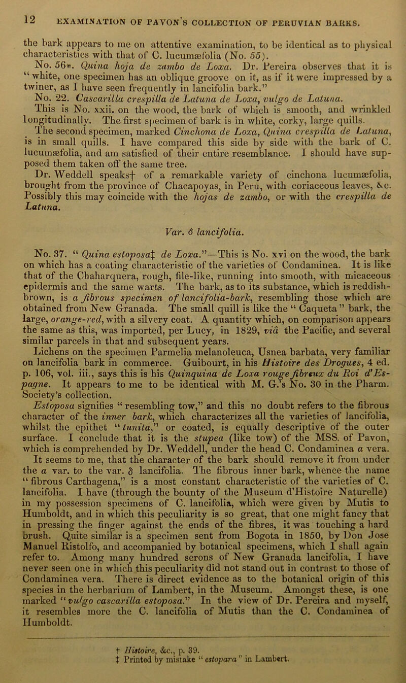 the hark appears to me on attentive examination, to be identical as to physical characteristics with that of C. lucunuefolia (No. 55). No. 56#. Quina hoja de zambo de Loxa. Dr. Pereira observes that it is “ white, one specimen has an oblique groove on it, as if it were impressed by a twiner, as I have seen frequently in lancifolia bark.” No. 22. CascariLla crespilla cle Latuna de Loxa, vulgo de Latuna. This is No. xxii. on the wood, the bark of which is smooth, and wrinkled longitudinally. The first specimen of bark is in white, corky, large quills. The second specimen, marked Cinchona de Loxa, Quina crespilla de Latuna, is in small quills. I have compared this side by side with the bark of C. lucumaefolia, and am satisfied of their entire resemblance. I should have sup- posed them taken off the same tree. Dr. Weddell speaksf of a remarkable variety of cinchona lucumaefolia, brought from the province of Chacapoyas, in Peru, with coriaceous leaves, &c. Possibly this may coincide with the hojas de zambo, or with the crespilla de Latuna. Var. 8 lancifolia. No. 37. “ Quina estaposa\ de Loxa.—This is No. xvi on the wood, the bark on which has a coating characteristic of the varieties of Condaminea. It is like that of the Chaharquera, rough, file-like, running into smooth, with micaceous epidermis and the same warts. The bark, as to its substance, which is reddish- brown, is a fibrous specimen of lancifolia-bark, resembling those which are obtained from New Granada. The small quill is like the “ Caqueta ” bark, the large, orange-red, with a silvery coat. A quantity which, on comparison appears the same as this, was imported, per Lucy, in 1829, via the Pacific, and several similar parcels in that and subsequent years. Lichens on the specimen Parmelia melanoleuca, Usnea barbata, very familiar on lancifolia bark in commerce. Guibourt, in his Histoire des Drogues, 4 ed. p. 106, vol. iii., says this is his Quinquina de Loxa rouge fibreux du Roi d’Es- pagne. It appears to me to be identical with M. G.’s No. 30 in the Pharm. Society’s collection. Estoposu signifies “ resembling tow,” and this no doubt refers to the fibrous character of the inner baric, which characterizes all the varieties of lancifolia, whilst the epithet “ tunita, or coated, is equally descriptive of the outer surface. I conclude that it is the stupea (like tow) of the MSS. of Pavon, which is comprehended by Dr. Weddell, under the head C. Condaminea a vera. It seems to me, that the character of the bark should remove it from under the a var. to the var. S lancifolia. The fibrous inner bark, whence the name “ fibrous Carthagena,” is a most constant characteristic of the varieties of C. lancifolia. I have (through the bounty of the Museum d’Histoire Naturelle) in my possession specimens of C. lancifolia, which were given by Mutis to Humboldt, and in which this peculiarity is so great, that one might fancy that in pressing the finger against the ends of the fibres, it was touching a hard brush. Quite similar is a specimen sent from Bogota in 1850, by Don Jose Manuel Kistolfo, and accompanied by botanical specimens, which 1 shall again refer to. Among many hundred serons of New Granada lancifolia, I have never seen one in which this peculiarity did not stand out in contrast to those of Condaminea vera. There is direct evidence as to the botanical origin of this species in the herbarium of Lambert, in the Museum. Amongst these, is one marked “ vulgo cascarilla estoposa. In the view of Dr. Pereira and myself, it resembles more the C. lancifolia of Mutis than the C. Condaminea of Humboldt. t Histoire, &c., p. 39. t Printed by mistake “ estopara ” in Lambert.