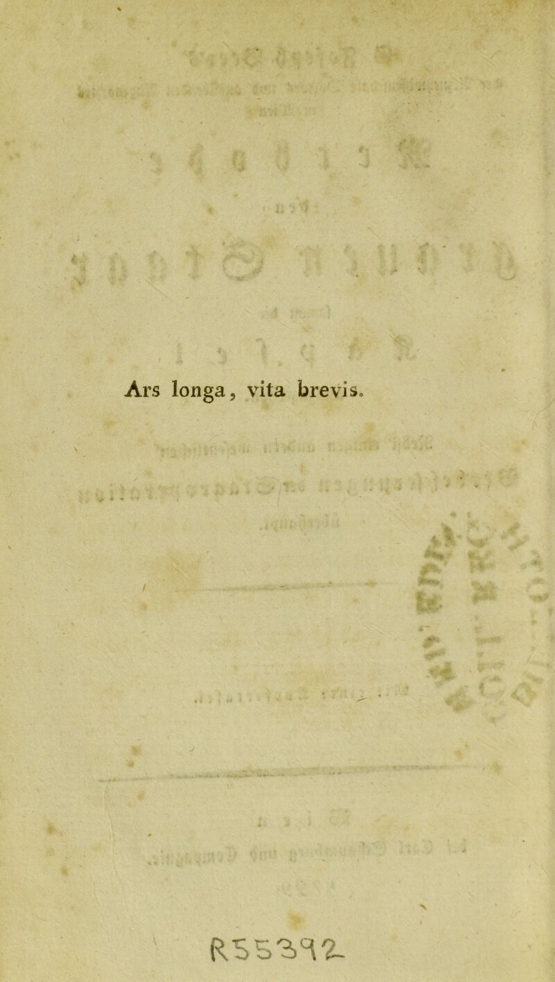 Ars longa, vita brevis / V- : • J > I