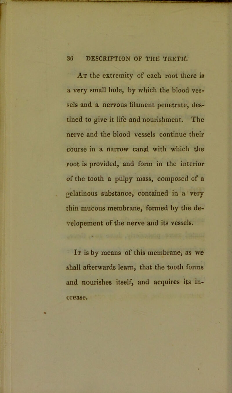 At the extremity of each root there is a very small hole, by which the blood ves- sels and a nervous filament penetrate, des- tined to give it life and nourishment. The nerve and the blood vessels continue their course in a narrow canal with which the root is provided, and form in the interior of the tooth a pulpy mass, composed of a gelatinous substance, contained in a very thin mucous membrane, formed by the de- velopement of the nerve and its vessels. It is by means of this membrane, as we shall afterwards learn, that the tooth forms and nourishes itself, and acquires its in- crease.