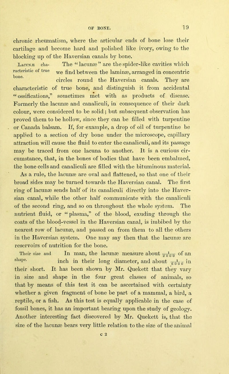 racteristic of true bone. chronic rheumatism, where the articular ends of bone lose their cartilage and become hard and polished like ivory, owing to the blocking up of the Haversian canals by bone. Lacuna clia- The “ lacunse ” are the spider-like cavities which we find between the laminse, arranged in concentric circles round the Haversian canals. They are characteristic of true bone, and distinguish it from accidental “ ossifications,” sometimes met with as products of disease. Formerly the lacunse and canaliculi, in consequence of their dark colour, were considered to be solid; but subsequent observation has proved them to be hollow, since they can be filled with turpentine or Canada balsam. If, for example, a drop of oil of turpentine be applied to a section of dry bone under the microscope, capillary attraction will cause the fluid to enter the canaliculi, and its passage may be traced from one lacuna to another. It is a curious cir- cumstance, that, in the bones of bodies that have been embalmed, the bone cells and canaliculi are filled with the bituminous material. As a rule, the lacunse are oval and flattened, so that one of their broad sides may be turned towards the Haversian canal. The first ring of lacunse sends half of its canaliculi directly into the Haver- sian canal, while the other half communicate with the canaliculi of the second ring, and so on throughout the whole system. The nutrient fluid, or “plasma,” of the blood, exuding through the coats of the blood-vessel in the Haversian canal, is imbibed by the nearest row of lacunse, and passed on from them to all the others in the Haversian system. One may say then that the lacunae are reservoirs of nutrition for the bone. Their size and In man, the lacunse measure about g-oVo inch in their long diameter, and about g-oVo their short. It has been shown by Mr. Quekett that they vary in size and shape in the four great classes of animals, so that by means of this test it can be ascertained with certainty whether a given fragment of bone be part of a mammal, a bird, a reptile, or a fish. As this test is equally applicable in the case of fossil bones, it has an important bearing upon the study of geology. Another interesting fact discovered by Mr. Quekett is, that the size of the lacunse bears very little relation to the size of the animal
