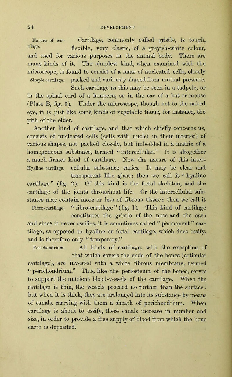Nature of car- Cartilage, commonly called gristle, is tough, tilage. flexible, very elastic, of a greyish-white colour, and used for various purposes in the animal body. There are many kinds of it. The simplest kind, when examined with the microscope, is found to consist of a mass of nucleated cells, closely Simple cartilage, packed and variously shaped from mutual pressure. Such cartilage as this may be seen in a tadpole, or in the spinal cord of a lampern, or in the ear of a bat or mouse (Plate B, fig. 3). Under the microscope, though not to the naked eye, it is just like some kinds of vegetable tissue, for instance, the pith of the elder. Another kind of cartilage, and that which chiefly concerns us, consists of nucleated cells (cells with nuclei in their interior) of various shapes, not packed closely, but imbedded in a matrix of a homogeneous substance, termed “intercellular.” It is altogether a much firmer kind of cartilage. Now the nature of this inter- Hyaline cartilage, cellular Substance varies. It may be clear and transparent like glass: then -we call it “ hyaline cartilage” (fig. 2). Of this kind is the fostal skeleton, and the cartilage of the joints throughout life. Or the intercellular sub- stance may contain more or less of fibrous tissue: then we call it Fibre- cartilage. “ fibro-cartilage ” (fig. 1). This kind of cartilage constitutes the gristle of the nose and the ear; and since it never ossifies, it is sometimes called “ permanent ” car- tilage, as opposed to hyaline or foetal cartilage, which does ossify, and is therefore only “ temporary.” Perioliondrium. All kinds of Cartilage, with the exception of that which covers the ends of the bones (articular cartilage), are invested with a white fibrous membrane, termed “ perichondrium.” This, like the periosteum of the bones, serves to support the nutrient blood-vessels of the cartilage. When the cartilage is thin, the vessels proceed no fmrther than the surface: but when it is thick, they are prolonged into its substance by means of canals, carrying with them a sheath of perichondrium. When cartilage is about to ossify, these canals increase in number and size, in order to provide a free supply of blood from which the bone earth is deposited.
