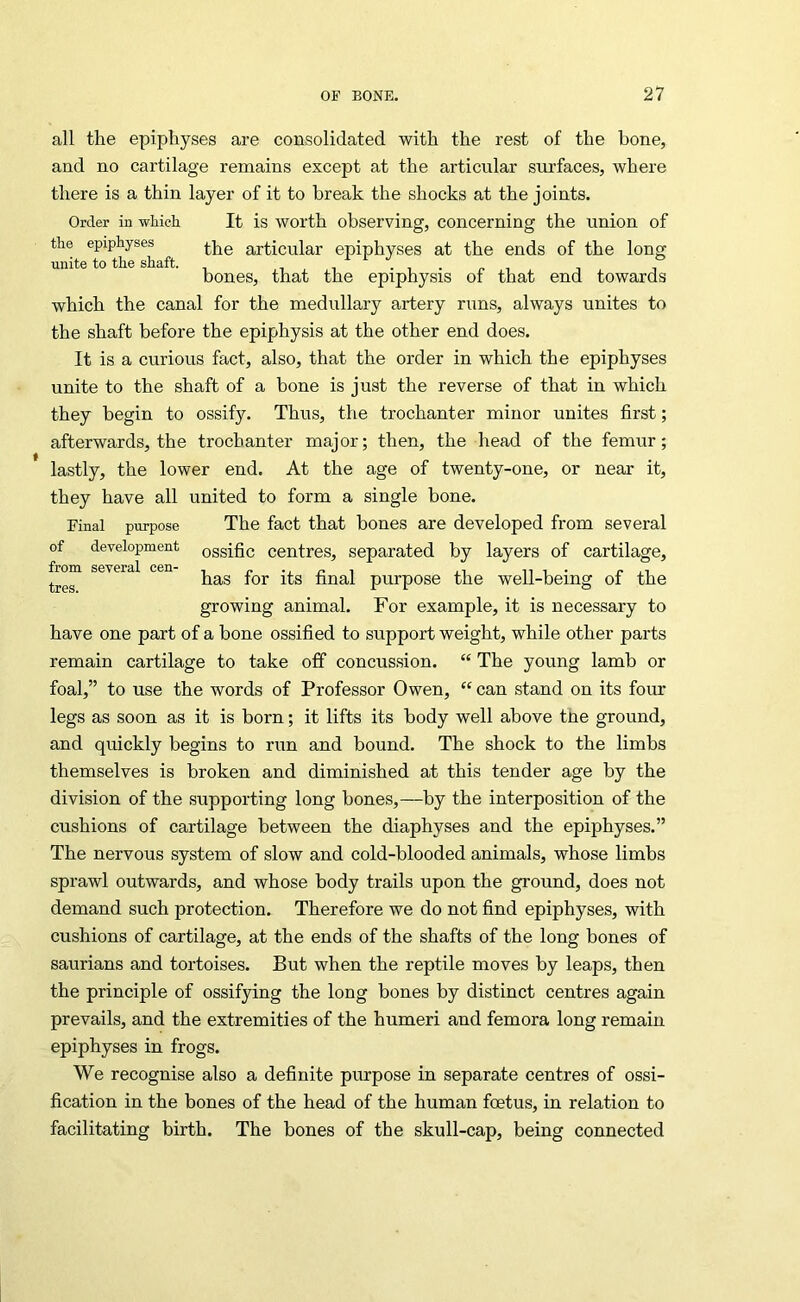 all the epiphyses are consolidated with the rest of the hone, and no cartilage remains except at the articular surfaces, where there is a thin layer of it to break the shocks at the joints. Order in wliicli It is worth observing, concerning the union of the epiphyses articular epiphyses at the ends of the long unite to the shaft. . , . „ , bones, that the epiphysis ot that end towards which the canal for the medullary artery runs, always unites to the shaft before the epiphysis at the other end does. It is a curious fact, also, that the order in which the epiphyses unite to the shaft of a bone is just the reverse of that in which they begin to ossify. Thus, the trochanter minor unites first; afterwards, the trochanter major; then, the head of the femur; lastly, the lower end. At the age of twenty-one, or near it, they have all united to form a single bone. Final purpose The fact that bones are developed from several of development ossific Centres, separated by layers of cartilage, from several cen- , r ^ n i • r has tor its final purpose the well-being ol the growing animal. For example, it is necessary to have one part of a bone ossified to support weight, while other parts remain cartilage to take off concussion. “ The young lamb or foal,” to use the words of Professor Owen, “ can stand on its four legs as soon as it is born; it lifts its body well above tne ground, and quickly begins to run and bound. The shock to the limbs themselves is broken and diminished at this tender age by the division of the supporting long bones,—by the interposition of the cushions of cartilage between the diaphyses and the epiphyses.” The nervous system of slow and cold-blooded animals, whose limbs sprawl outwards, and whose body trails upon the ground, does not demand such protection. Therefore we do not find epiphyses, with cushions of cartilage, at the ends of the shafts of the long bones of saurians and tortoises. But when the reptile moves by leaps, then the principle of ossifying the long bones by distinct centres again prevails, and the extremities of the humeri and femora long remain epiphyses in frogs. We recognise also a definite purpose in separate centres of ossi- fication in the bones of the head of the human foetus, in relation to facilitating birth. The bones of the skull-cap, being connected