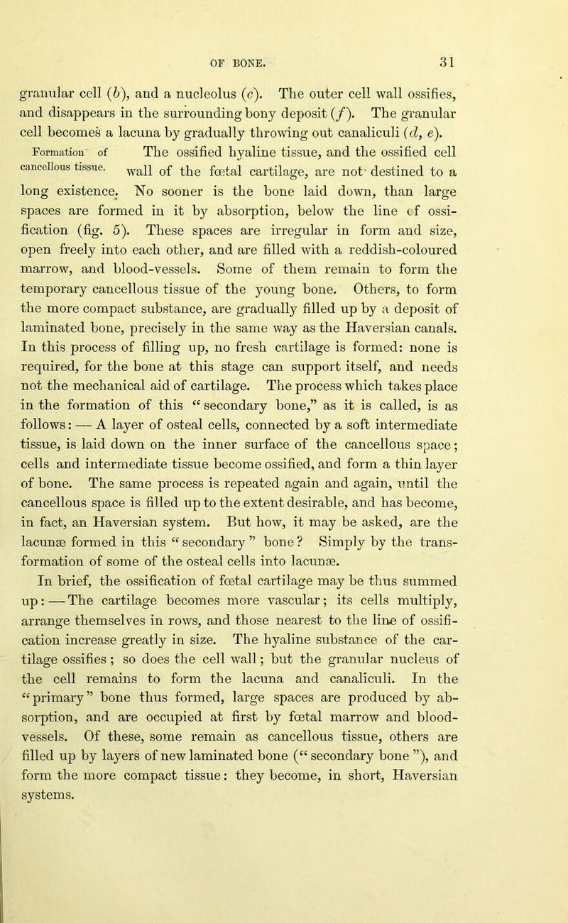 granular cell (b), and a nucleolus (c). The outer cell wall ossifies, and disappears in the surrounding bony deposit (/). The granular cell becomes a lacuna by gradually throwing out canaliculi (d, e). Formation of The ossified hyaline tissue, and the ossified cell cancellous tissue. foetal cartilage, are not- destined to a long existence. No sooner is the bone laid down, than large spaces are formed in it by absorption, below the line tf ossi- fication (fig. 5). These spaces are irregular in form and size, open freely into each other, and are filled with a reddish-coloured marrow, and blood-vessels. Some of them remain to form the temporary cancellous tissue of the young bone. Others, to form the more compact substance, are gradually filled up by a deposit of laminated bone, precisely in the same way as the Haversian canals. In this process of filling up, no fresh cartilage is formed: none is required, for the bone at this stage can support itself, and needs not the mechanical aid of cartilage. The process which takes place in the formation of this “ secondary bone,” as it is called, is as follows: — A layer of osteal cells, connected by a soft intermediate tissue, is laid down on the inner surface of the cancellous space; cells and intermediate tissue become ossified, and form a thin layer of bone. The same process is repeated again and again, i-'ntil the cancellous space is filled up to the extent desirable, and has become, in fact, an Haversian system. But how, it may be asked, are the lacunae formed in this “ secondary ” bone ? Simply by the trans- formation of some of the osteal cells into lacunae. In brief, the ossification of foetal cartilage may be thus summed up: — The cartilage becomes more vascular; its cells multiply, arrange themselves in rows, and those nearest to the line of ossifi- cation increase greatly in size. The hyaline substance of the car- tilage ossifies; so does the cell wall; but the granular nucleus of the cell remains to form the lacuna and canaliculi. In the “primary” bone thus formed, large spaces are produced by ab- sorption, and are occupied at first by foetal marrow and blood- vessels. Of these, some remain as cancellous tissue, others are filled up by layers of new laminated bone (“ secondary bone ”), and form the more compact tissue: they become, in short, Haversian systems.
