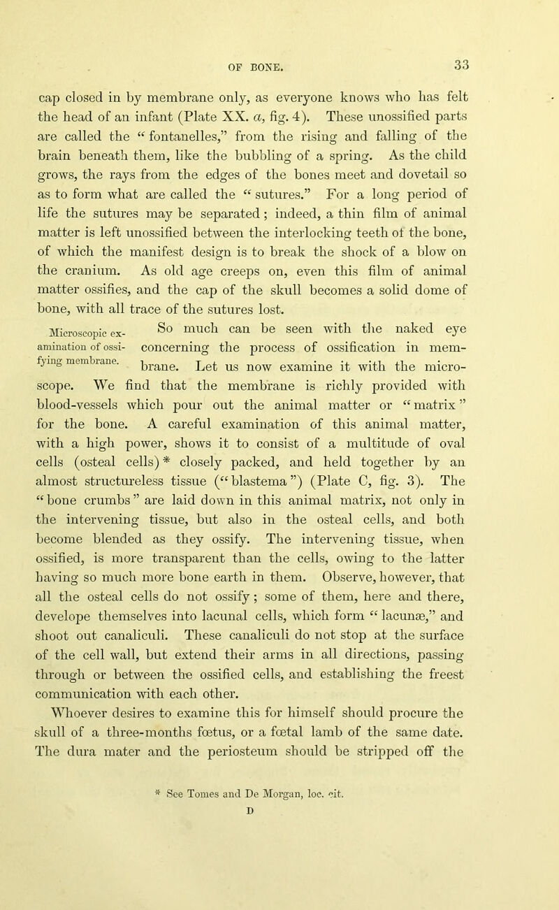 cap closed in by membrane only, as everyone knows who lias felt the head of an infant (Plate XX. a, fig. 4). These unossified parts are called the “ fontanelles,” from the rising and falling of the brain beneath them, like the bubbling of a spring. As the child grows, the rays from the edges of the bones meet and dovetail so as to form what are called the “ sutures.” For a long period of life the sutures may be separated; indeed, a thin film of animal matter is left unossified between the interlocking teeth ot the bone, of which the manifest design is to break the shock of a lilow on the cranium. As old age creeps on, even this film of animal matter ossifies, and the cap of the skull becomes a solid dome of bone, with all trace of the sutures lost. Microscopic ex- much can be seen with the naked eye amination of ossi- concerning the process of ossification in mem- fying membrane. Prane. Let US now examine it with the micro- scope. We find that the membrane is richly provided with blood-vessels which pour out the animal matter or “ matrix ” for the bone. A careful examination of this animal matter, with a high power, shows it to consist of a multitude of oval cells (osteal cells) * closely packed, and held together by an almost structureless tissue (“blastema”) (Plate C, fig. 3). The “ bone crumbs ” are laid down in this animal matrix, not only in the intervening tissue, but also in the osteal cells, and both become blended as they ossify. The intervening tissue, when ossified, is more transparent than the cells, owing to the latter having so much more bone earth in them. Observe, however, that all the osteal cells do not ossify; some of them, here and there, develope themselves into lacunal cells, which form “ lacunae,” and shoot out canaliculi. These canaliculi do not stop at the surface of the cell wall, but extend their arms in all directions, passing- through or between th-e ossified cells, and establishing the freest communication with each other. Whoever desires to examine this for himself should procure the skull of a three-months foetus, or a foetal lamb of the same date. The dura mater and the periosteinn should be stripped off the ” See Tomes and De Morgan, loe. eit.