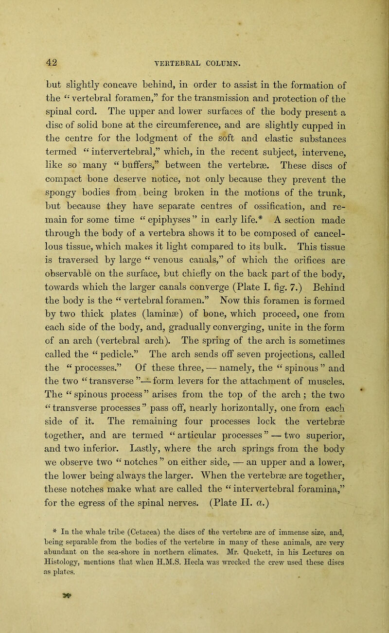 but slightly concave behind, in order to assist in the formation of the “vertebral foramen,” for the transmission and protection of the spinal cord. The upper and lower surfaces of the body present a disc of solid bone at the circumference, and are slightly cupped in the centre for the lodgment of the soft and elastic substances termed “ intervertebral,” which, in the recent subject, intervene, like so many “ buffers,” between the vertebrae. These discs of compact bone deserve notice, not only because they prevent the spongy bodies from being broken in the motions of the trunk, but because they have separate centres of ossification, and re- main for some time “ epiphyses ” in early life.* A section made through the body of a vertebra shows it to be composed of cancel- lous tissue, which makes it light compared to its bulk. This tissue is traversed by large “ venous canals,” of which the orifices are observable on the surface, but chiefly on the back part of the body, towards which the larger canals converge (Plate I. fig. 7.) Behind the body is the “ vertebral foramen.” Now this foramen is formed by two thick plates (laminae) of bone, which proceed, one from each side of the body, and, gradually converging, unite in the form of an arch (vertebral arch). The spring of the arch is sometimes called the “pedicle.” The arch sends off seven projections, called the “ processes.” Of these three, — namely, the “ spinous ” and the two “ transverse form levers for the attachment of muscles. The “ spinous process ” arises from the top of the arch; the two “ transverse processes ” pass off, nearly horizontally, one from each side of it. The remaining four processes lock the vertebrae together, and are termed “ articular processes ” — two superior, and two inferior. Lastly, where the arch springs from the body we observe two “ notches ” on either side, — an upper and a lower, the lower being always the larger. When the vertebrae are together, these notches make what are called the “ intervertebral foramina,” for the egress of the spinal nerves. (Plate II. a.) * In the whale tribe (Cetacea) the discs of the vertebrae are of immense size, and, being separable from the bodies of the vertebrae in many of these animals, are very abundant on the sea-shore in northern climates. Mr. Quekett, in his Lectures on Histology, mentions that when H.M.S. Ilecla was wrecked the crew used these discs as plates.