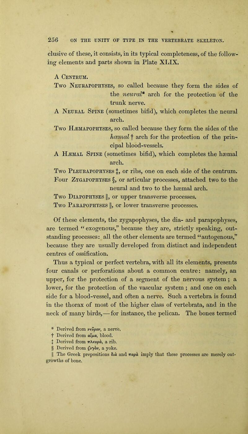 elusive of these, it consists, in its typical completeness, of the follow- ing elements and parts shown in Plate XLIX. A Centrum. Two Neurapophyses, so called because they form the sides of the neural* * * § arch for the protection of the trunk nerve. A Neural Spine (sometimes bifid), which completes the neural arch. Two H^mapophyses, so called because they form the sides of the hcBmal t arch for the protection of the prin- cipal blood-vessels. A H^mal Spine (sometimes bifid), which completes the haemal arch. Two Pleurapophyses or ribs, one on each side of the centrum. Four Zyuapophyses §, or articular processes, attached two to the neural and two to the haemal arch. Two Diapophyses ||, or upper transverse processes. Two Parapophyses |f, or lower transverse processes. Of these elements, the zygapophyses, the dia- and parapophyses, are termed “ exogenous,” because they are, strictly speaking, out- standing processes: all the other elements are termed “autogenous,” because they are usually developed from distinct and independent centres of ossification. Thus a typical or perfect vertebra, with all its elements, presents four canals or perforations about a common centre: namely, an upper, for the protection of a segment of the nervous system; a lower, for the protection of the vascular system ; and one on each side for a blood-vessel, and often a nerve. Such a vertebra is found in the thorax of most of the higher class of vertebrata, and in the neck of many birds, — for instance, the pelican. The bones termed * Derived from vevpov, a nerve, t Derived from eSpia, blood. \ Derived from trXevpa, a rib. § Derived from (vyhv, a yoke. II The Greek prepositions Siii and irapa imply that these processes are merely out- growths of bone.