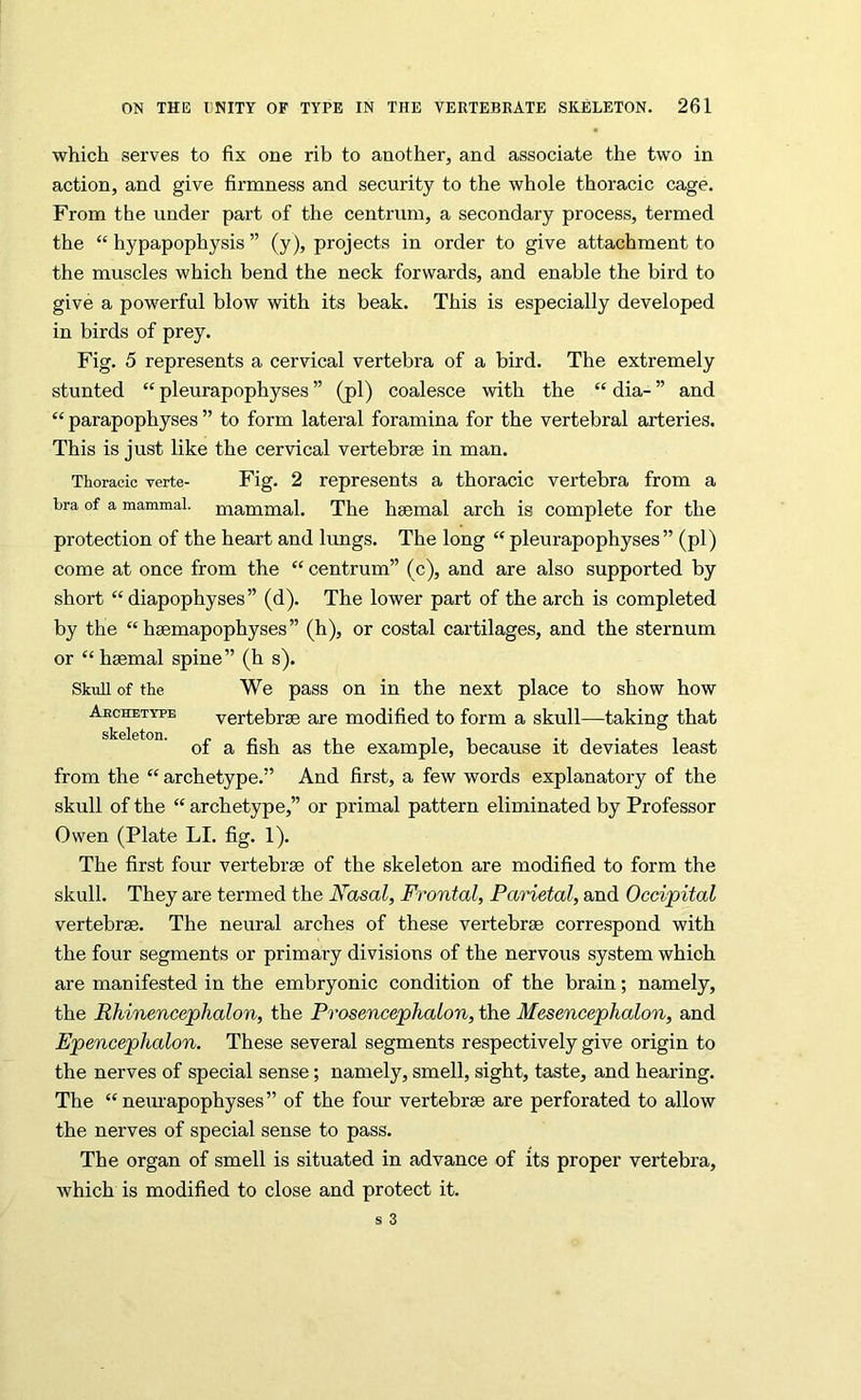 which serves to fix one rib to another, and associate the two in action, and give firmness and security to the whole thoracic cage. From the under part of the centrum, a secondary process, termed the “ hypapophysis ” (y), projects in order to give attachment to the muscles which bend the neck forwards, and enable the bird to give a powerful blow with its beak. This is especially developed in birds of prey. Fig. 5 represents a cervical vertebra of a bird. The extremely stunted “ pleurapophyses ” (pi) coalesce with the “ dia- ” and “ parapophyses ” to form lateral foramina for the vertebral arteries. This is just like the cervical vertebrae in man. Thoracic verte- Fig. 2 represents a thoracic vertebra from a bra of a mammal, mammal. The haemal arch is complete for the protection of the heart and lungs. The long “ pleurapophyses” (pi) come at once from the “ centrum” (c), and are also supported by short “diapophyses” (d). The lower part of the arch is completed by the “ haemapophyses” (h), or costal cartilages, and the sternum or “haemal spine” (h s). Skull of the We pass on in the next place to show how vertebrae are modified to form a skull—taking that of a fish as the example, because it deviates least from the “ archetype.” And first, a few words explanatory of the skull of the “ archetype,” or primal pattern eliminated by Professor Owen (Plate LI. fig. 1). The first four vertebrae of the skeleton are modified to form the skull. They are termed the Nasal, Frontal, Parietal, and Occipital vertebrae. The neural arches of these vertebrae correspond with the four segments or primary divisions of the nervous system which are manifested in the embryonic condition of the brain; namely, the Rhinencephalon, the Prosencephalon, the Mesencephalon, and Epencephalon. These several segments respectively give origin to the nerves of special sense; namely, smell, sight, taste, and hearing. The “ neurapophyses ” of the four vertebrae are perforated to allow the nerves of special sense to pass. The organ of smell is situated in advance of its proper vertebra, which is modified to close and protect it. Ajrchbtype skeleton.