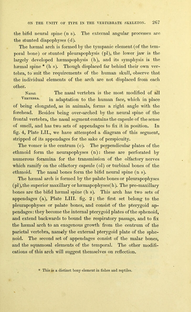 the bifid neural spine (n s). The external angular processes ai’e the stunted diapophyses (d). The hsemal arch is formed by the tympanic element (of the tem- poral bone) or stunted pleurapophysis (pi), the lower jaw is the largely developed hsemapophysis (h), and its symphysis is the haemal spine * (h s). Though displaced far behind their own ver- tebra, to suit the requirements of the human skull, observe that the individual elements of the arch are not displaced from each other. Nasal The nasal vertebra is the most modified of all Veetebea. adaptation to the human face, which in place of being elongated, as in animals, forms a right angle with the forehead. Besides being over-arched by the neural spine of the frontal vertebra, the nasal segment contains the capsule of the sense of smell, and has two sets of appendages to fix it in position. In fig. 4, Plate LII., we have attempted a diagram of this segment, stripped of its appendages for the sake of perspicuity. The vomer is the centrum (c). The perpendicular plates of the ethmoid form the neurapophyses (n): these are perforated by numerous foramina for the transmission of the olfactory nerves which ramify on the olfactory capsule (ol) or turbinal bones of the ethmoid. The nasal bones form the bifid neural spine (n s). The haemal arch is formed by the palate bones or pleurapophyses (pi),the superior maxillary or haemapophyses(h). The pre-maxillary bones are the bifid haemal spine (h s). This arch has two sets of appendages (a), Plate LIII. fig. 2; the first set belong to the pleurapophyses or palate bones, and consist of the pterygoid ap- pendages : they become the internal pterygoid plates of the sphenoid, and extend backwards to bound the respiratory passage, and to fix the haemal arch to an exogenous growth from the centrum of the parietal vertebra, namely the external pterygoid plate of the sphe- noid. The second set of appendages consist of the malar bones, and the squamosal elements of the temporal. The other modifi- cations of this arch will suggest themselves on reflection. This is a distinct bony element in fishes and reptiles.