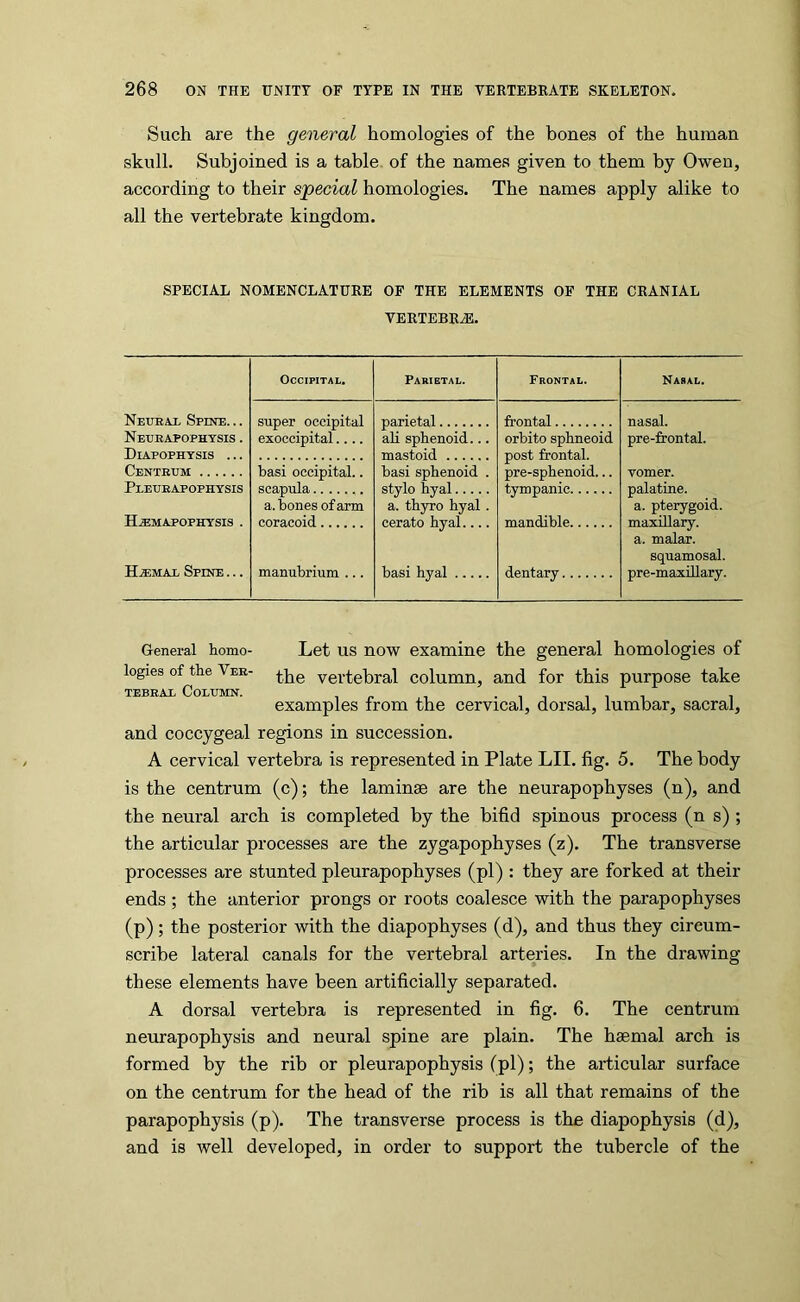 Such are the general homologies of the bones of the human skull. Subjoined is a table, of the names given to them by Owen, according to their special homologies. The names apply alike to all the vertebrate kingdom. SPECIAL NOMENCLATURE OF THE ELEMENTS OF THE CRANIAL VERTEBRA. Occipital. Parietal. Frontal. Nasal. Neueax Spine. .. super occipital parietal frontal nasal. Neueapophysis . Diapophysis ... exoccipital.... all sphenoid... orbito sphneoid post frontal, pre-sphenoid... pre-frontal. Centeum basi occipital.. basi sphenoid . vomer. Pleueapophysis scapula a. bones of arm stylo hyal a. thyro hyal. tympanic palatine, a. pterygoid. H^mapophysis . coracoid cerato hyal mandible maxillary, a. malar, squamosal. H.a:MAL Spine ... manubrium ... hasi hyal dentary pre-maxiUary. General homo- Let US now examine the general homologies of logies ofjhe Vee- vertebral column, and for this purpose take examples from the cervical, dorsal, lumbar, sacral, and coccygeal regions in succession. A cervical vertebra is represented in Plate LII. fig. 5. The body is the centrum (c); the laminae are the neurapophyses (n), and the neural arch is completed by the bifid spinous process (n s); the articular processes are the zygapophyses (z). The transverse processes are stunted pleurapophyses (pi) : they are forked at their ends ; the anterior prongs or roots coalesce with the parapophyses (p); the posterior with the diapophyses (d), and thus they circum- scribe lateral canals for the vertebral arteries. In the drawing these elements have been artificially separated. A dorsal vertebra is represented in fig. 6. The centrum neurapophysis and neural spine are plain. The haemal arch is formed by the rib or pleurapophysis (pi); the articular surface on the centrum for the head of the rib is all that remains of the parapophysis (p). The transverse process is the diapophysis (d), and is well developed, in order to support the tubercle of the