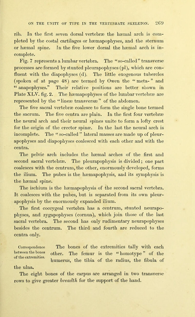 rib. In the first seven dorsal vertebrae the haemal arch is com- pleted by the costal cartilages or haemapophyses, and the sternum or haemal spine. In the five lower dorsal the haemal arch is in- complete. Fig. 7 represents a lumbar vertebra. The “so-called” transverse processes are formed by stunted pleurapophyses (pi), which are con- fluent with the diapophyses (d). The little exogenous tubercles (spoken of at page 48) are termed by Owen the “ meta- ” and “ anapophyses.” Their relative positions are better siiown in Plate XLV. fig. 2. The haemapophyses of the lumbar vertebrae are represented by the “lineae trausversae” of the abdomen. The five sacral vertebrae coalesce to form the single bone termed the sacrum. The five centra are plain. In the first four vertebrae the neural arch and their neural spines unite to form a lofty crest for the origin of the erector spinm. In the last the neural arch is incomplete. The “ so-called ” lateral masses are made up of pleur- apophyses and diapophyses coalesced with each other and with the centra. The pelvic arch includes the haemal arches of the first and second sacral vertebrae. The pleurapophysis is divided; one part coalesces with the centrum, the other, enormously developed, forms the ilium. The pubes is the haemapophysis, and its symphysis is the haemal spine. The ischium is the haemapophysis of the second sacral vertebra. It coalesces with the pubes, but is separated from its own pleur- apophysis by the enormously expanded ilium. The first coccygeal vertebra has a centrum, stunted neurapo- physes, and zygapophyses (cornua), which join those of the last sacral vertebra. The second has only rudimentary neurapophyses besides the centrum. The third and fourth are reduced to the centra only. Correspondence between the bones of the extremities. The bones of the extremities tally with each other. The femur is the “ homotype ” of the humerus, the tibia of the radius, the fibula of the ulna. The eight bones of the carpus are arranged in two transverse rows to give greater breadth for the support of the hand.