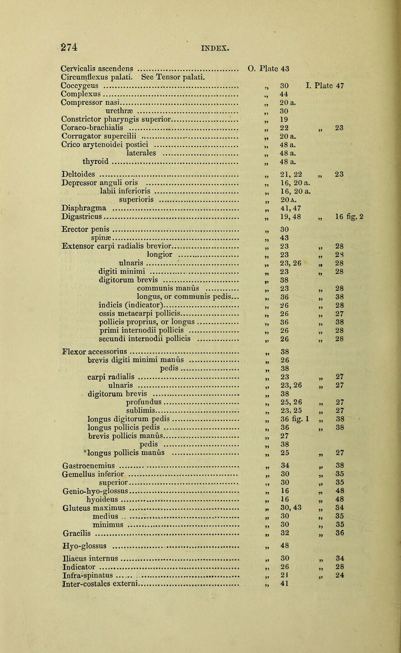 CerVicalis ascendens 0. Plate 43 Circumflexus palati. See Tensor palati. Coccygeus >> 30 I. Plate 47 Complexus »> 44 Compressor nasi »» 20 a. urethrae 30 Constrictor pharyngis superior >» 19 Coraco-brachialis 22 23 Corrugator supercilii » 20 a. Crico arytenoidei postici 48 a. laterales 48 a. thyroid 48 a. Deltoides 21, 22 23 Depressor anguli oris »» 16, 20 a. labii inferioris 16, 20 a. superioris )> 20 a. Diaphragma >» 41,47 Digastricus 19, 48 99 16 fig. 2 Erector penis 30 spinse »> 43 Extensor carpi radialts brevior 23 99 28 longior 23 99 28 ulnaris 23, 26 99 28 digiti minimi n 23 99 28 digitorum brevis •) 38 communis raanus ,, 23 28 longus, or communis pedis... 36 99 38 indicis (indicator) »> 26 „ 28 ossis metacarpi pollicis »> 26 99 27 pollicis proprius, or longus 36 99 38 primi internodii pollicis 26 99 28 secundi internodii pollicis V 26 99 28 Flexor accessorius 38 brevis digiti minimi man us 26 pedis >5 38 carpi radialis 23 99 27 ulnaris 23, 26 99 27 digitorum brevis 38 profundus 25, 26 99 27 sublimis 23, 25 99 27 longus digitorum pedis )> 36 fig. 1 99 38 longus pollicis pedis 36 99 38 brevis pollicis manus 27 pedis » 38 ’longus pollicis manus 25 99 27 Gastrocnemius n 34 99 38 Gemellus inferior 9i 30 ■99 35 superior 30 99 35 Genio-hyo-glossus 16 99 48 hyoideus » 16 99 48 Gluteus maximus 99 30, 43 99 34 medius 99 30 99 35 minimus 99 30 99 35 Gracilis 99 32 99 36 Hyo-glossus 99 48 Iliacus internus 99 30 99 34 Indicator 99 26 99 28 Infra-spinatus 99 21 99 24 Inter-costales extern! 99 41