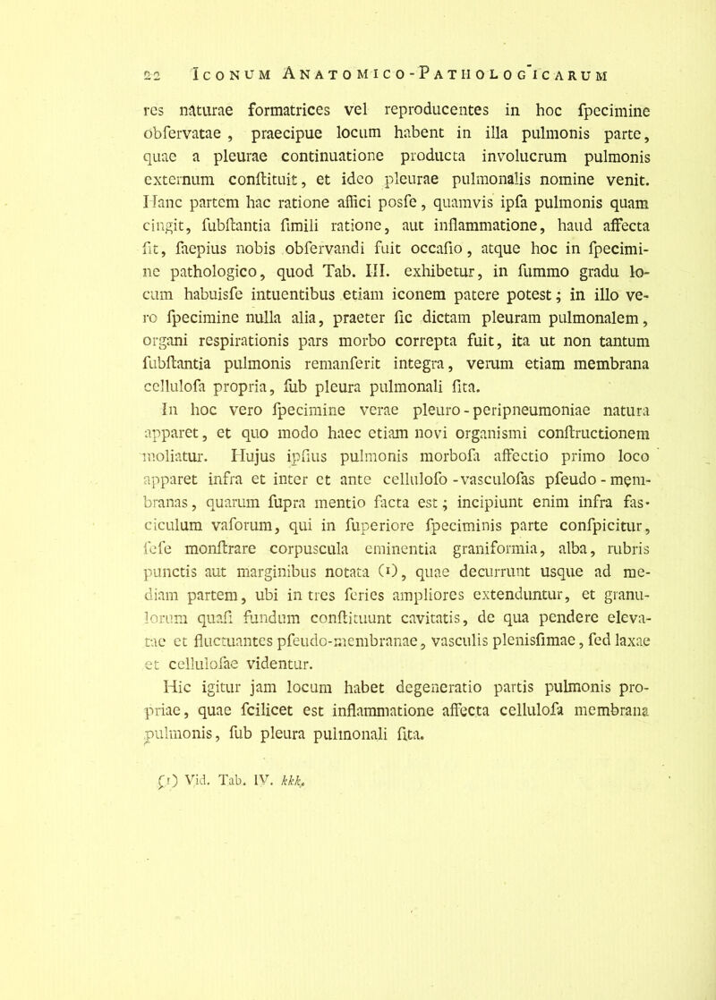 rcs n^turae formatrices vel reproducentes in hoc fpecimine obfervatae , praecipue lociim habent in ilia pulmonis parte, quae a pleurae continuatione prodiicta involucrum pulmonis extcrnum conftituit, et ideo pleurae pulmonalis nomine venit. Uanc partem hac ratione affici posfe, quamvis ipfa pulmonis quam ciiigit, fubllantia fimili ratione, aut inflammatione, haud affecta fit, faepius nobis obfervandi fuit occafio, atque hoc in fpecimi- nc pathologico, quod Tab. III. exhibetur, in fummo gradu lo- cum habuisfe intuentibus etiam iconem patere potest ; in illo ve- ro fpecimine nulla alia, praeter fie .dictam pleuram pulmonalem, organi respirationis pars morbo correpta fuit, ita ut non tantum fubftantia pulmonis remanferit integra, verum etiam membrana ccllulofa propria, fub pleura pulmonali fita. In hoc vero fpecimine verae pleuro - peripneumoniae natura apparet, et quo modo haec etiam novi organismi conflructionem moliatur. Hujus ipfius pulmonis morbofr affectio primo loco apparet infra et inter et ante cellulofo-vasculofas pfeudo-mçm- branas, quarum fupra mentio facta est; incipiunt enim infra fas* ciculum vaforum, qui in fuperiore fpeciminis parte confpicitur, fcfe monflrare corpusctila eminentia graniformia, alba, rubris punctis aut marginibus notata CO, quae decurrunt usque ad me- diam partem, ubi in tics fériés amphores extenduntur, et granu- loriim quafi fundum conflitiiunt cavitatis, de qua pendere eleva- tac et fluctuantes pfeudo-membranae, vasculis plenisfimae, fed laxae et ccllulofae videntur. Hic igitur jam locum habet degeneratio partis pulmonis pro- priae, quae fcilicet est inflammatione affecta cellulofa membrana pulmonis, fub pleura pulmonali flta. ÇO Vid. Tab. IV. kkh