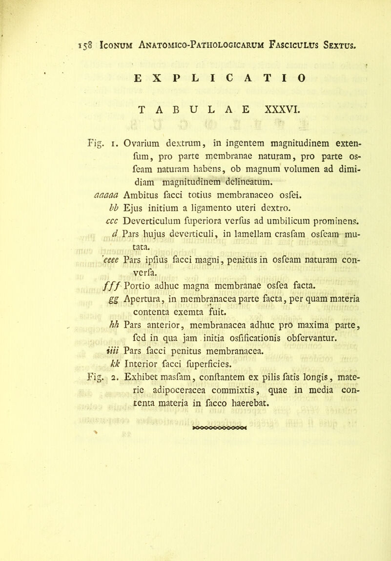 EXPLICATIO T A B U L A E XXXVI. Fig. I. Ovarium dextrum, în ingentem magnitiidinem exten- fum, pro parte membranae naturam, pro parte os- feam naturam habens , ob magnum volumen ad dimi- diam magnitudinem delineatum. aaaaa Ambitus facci totius membranaceo osfei. hh Ejus initium a ligamento uteri dextro. ccc Deverticulum fiiperiora verfus ad umbilicum prominens. d Pars hujus deveiticuli, in lamellam crasfam osfeam mu- tata. 'eeee Pars ipfius facci magni, penitïîs in osfeam naturam con- verfa. ///'Portio adhuc magna membranae osfea facta. gg Apertura, in membranacea parte facta, per quam materia contenta exemta fuit. hh Pars anterior, membranacea adhuc pro maxima parte, fed in qua jam initia osfificationis obfervantur. iiîi Pars facci penitus membranacea. kk Interior facci fuperficies. Fig. 2. Exhiber masfam, conflantem ex pilisfatis longis , mate- rie adipoceracea commixtis, quae in media con- tenta materia in facco haerebat. >oooc<>ooco9o<