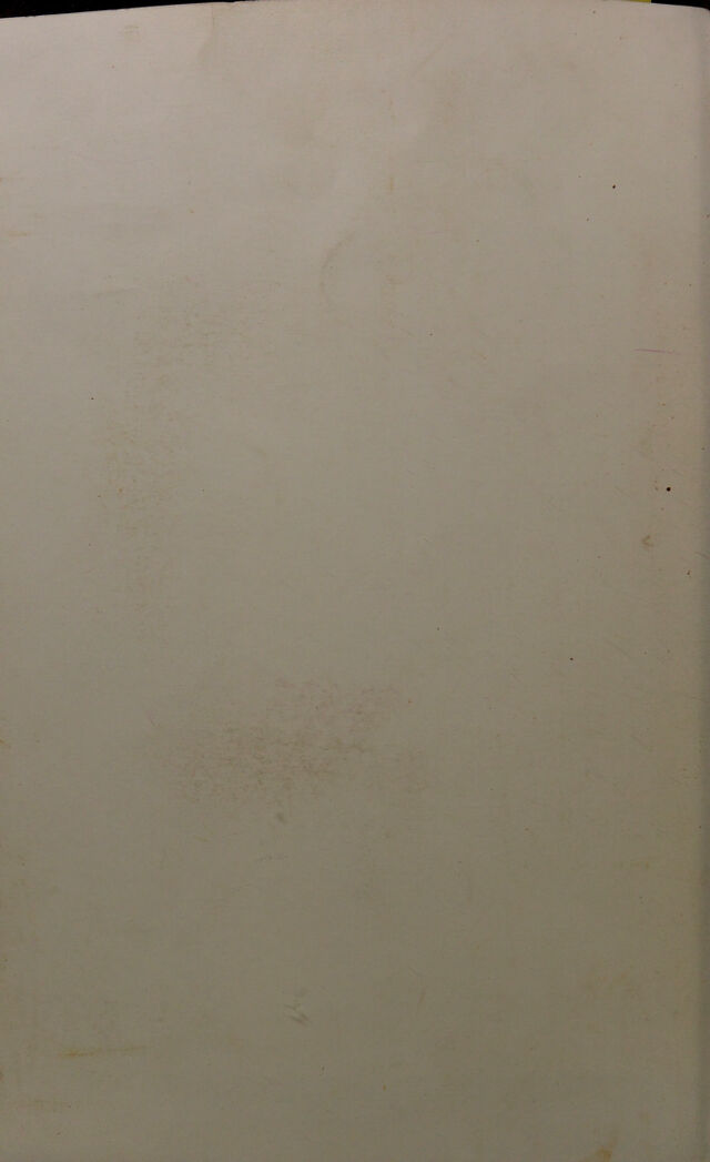 digitised image 2