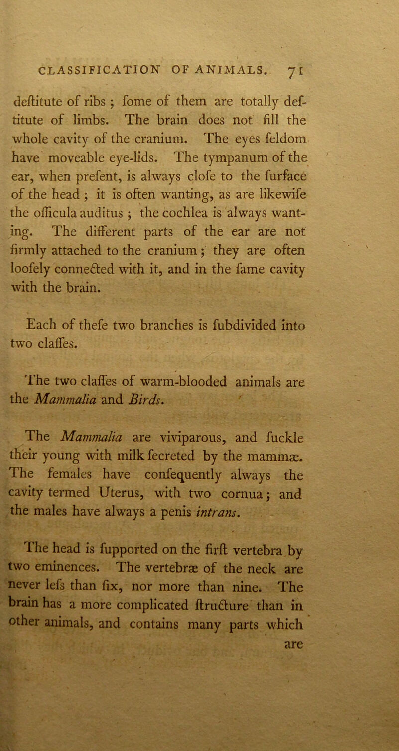 deftitute of ribs; fome of them are totally def- titute of limbs. The brain does not fill the whole cavity of the cranium. The eyes feldom have moveable eye-lids. The tympanum of the ear, when prefent, is always clofe to the furface of the head ; it is often wanting, as are likewife the officula auditus; the cochlea is always want- ing. The different parts of the ear are not firmly attached to the cranium ; they are often loofely connected with it, and in the fame cavity with the brain. Each of thefe two branches is fubdivided into two claffes. The two claffes of warm-blooded animals are the Mammalia and Birds. The Mammalia are viviparous, and fuckle their young with milk fecreted by the mammas. The females have confequently always the cavity termed Uterus, with two cornua; and the males have always a penis intrans. The head is fupported on the firft vertebra by two eminences. The vertebrae of the neck are never lefs than fix, nor more than nine. The brain has a more complicated ftrudture than in other animals, and contains many parts which are