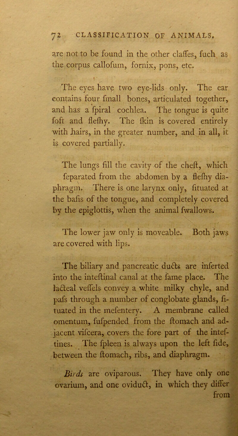 are not to be found in the other claffes, fuch as the corpus callofum, fornix, pons, etc. The eyes havp two eye-lids only. The ear contains four fmall bones, articulated together, and has a fpiral cochlea. The tongue is quite foft and flefliy. The fkin is covered entirely with flairs, in the greater number, and in all, it is covered partially. The lungs fill the cavity of the cheft, which feparated from the abdomen by a flefliy dia- phragm. There is one larynx only, fituated at the bafis of the tongue, and completely covered by the epiglottis, when the animal fwallows. The lower jaw only is moveable. Both jaws are covered with lips. The biliary and pancreatic dufts are inferted into the inteftinal canal at the fame place. The lacteal veffels convey a white milky chyle, and pafs through a number of conglobate glands, fi- tuated in the mefentery. A membrane called omentum, fufpended from the ftomach and ad- jacent vifcera, covers the fore part of the intef- tines. The fpleen is always upon the left fide, between the ftomach, ribs, and diaphragm. Birds are oviparous. They have only one ovarium, and one oviduft, in which they differ from
