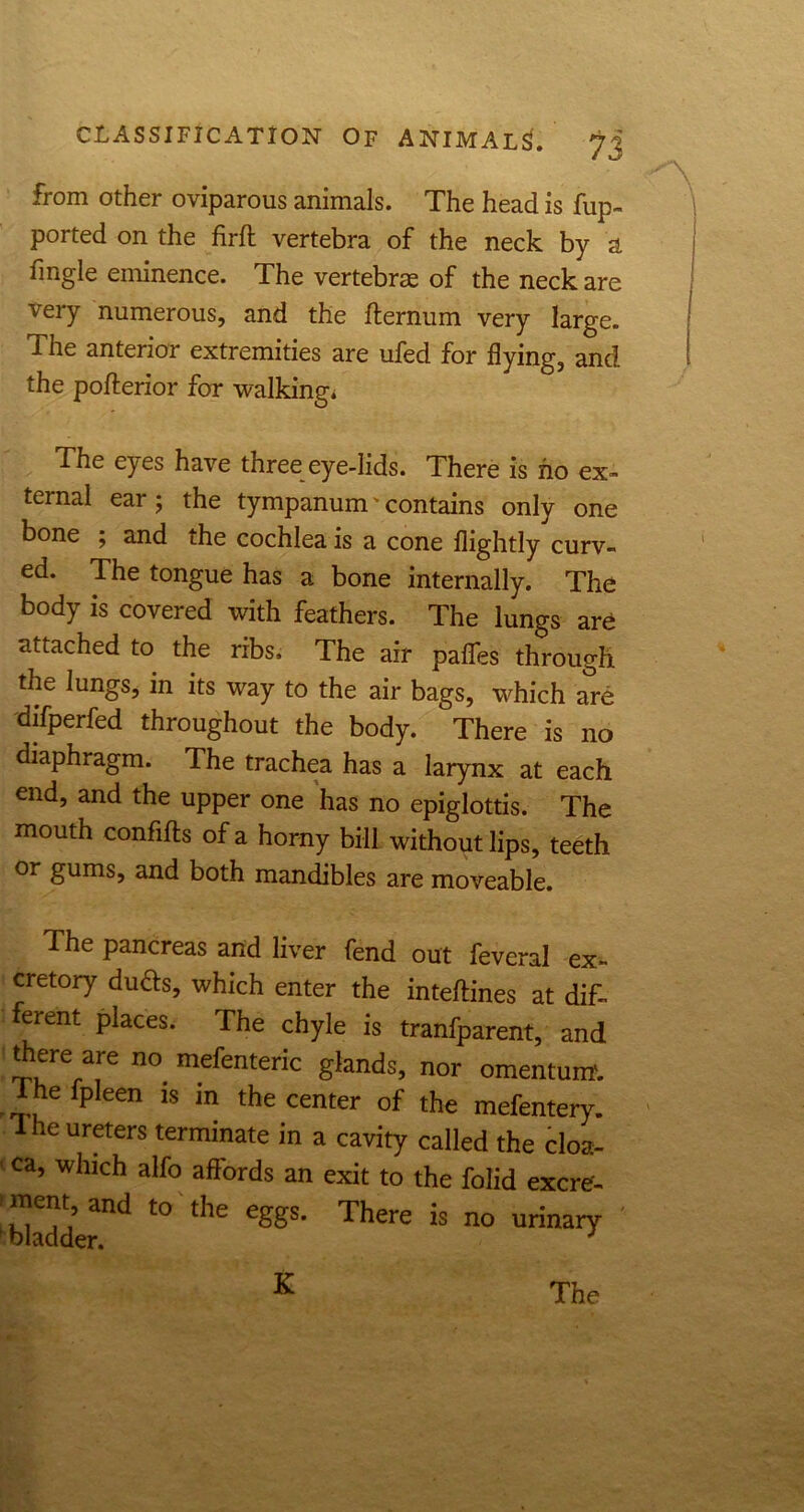 from other oviparous animals. The head is fup- ported on the firft vertebra of the neck by a fmgle eminence. The vertebras of the neck are very numerous, and the fternum very large. The anterior extremities are ufed for flying, and the pofterior for walking* The eyes have three eye-lids. There is ho ex- ternal ear ; the tympanum' contains only one bone ; and the cochlea is a cone flightly curv- ed. The tongue has a bone internally. The body is covered with feathers. The lungs are attached to the ribs. The air paffes through the lungs, in its way to the air bags, which are difperfed throughout the body. There is no diaphragm. The trachea has a larynx at each end, and the upper one has no epiglottis. The mouth confifts of a horny bill without lips, teeth or gums, and both mandibles are moveable. The pancreas and liver fend out feveral ex- cretory duds, which enter the inteftines at dif- ferent places. The chyle is tranfparent, and diere are no. mefenteric glands, nor omentum. I he fpleen is in the center of the mefentery. I he ureters terminate in a cavity called the cloa- ca, which alfo affords an exit to the folid excre'- mem, and to the eggs. There is no urinary K