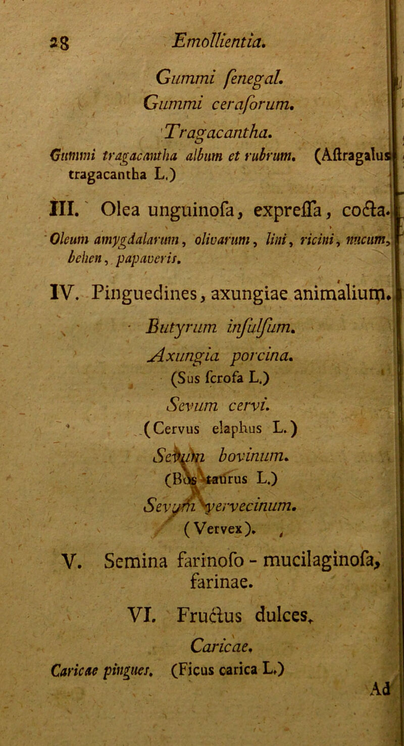 Gummi fenegal, Gummi ceraforum. 'Tragacantha. Gummi tragacantha album et rubrum, (Aftragalui tragacantha L.) III. Olea unguinofa, exprefla, co&a. Oleum amygdalarum, olivarum, //»/, ricini, nucum^ I , papaveris. IV. Pinguedines, axungiae animaliurp* - Butyrnm infulfum, Axungia porcina, (Sus fcrofa L.) Sevum cervi. ^(Cervus elaphus L.) SeVuki bovinum. (Bds\taurus L.) Sevyrii 'yervecinum. (Vervex). t V. Semina farinofo - mucilaginofa, farinae. * • r ■ . t J VI. Frudus dulces* Caricae, Caricae pin^uei, (Ficus carica L.) Ad