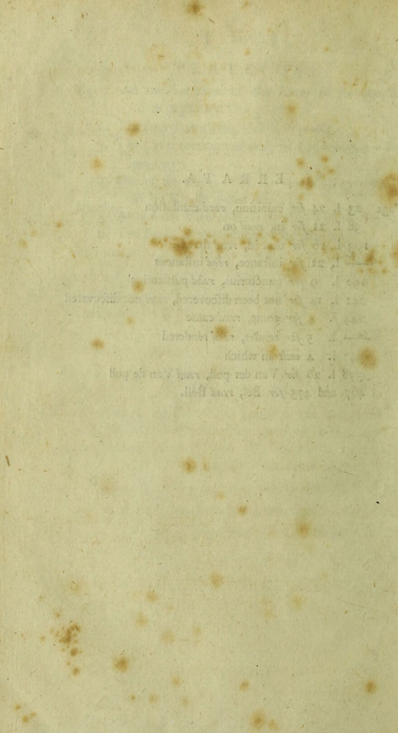 \ \ • N ‘ \ \ * t