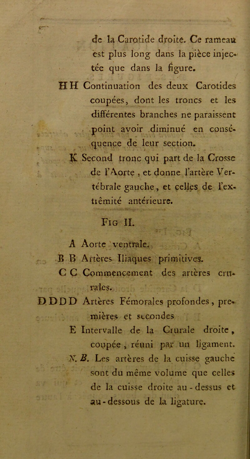 «rr - ù de la Carotide droite. Ce rameau est plus long dans la pièce injec- tée que dans la figure. HH Continuation des deux Carotides coupées, dont les troncs et les différentes branches ne paraissent point avoir diminué en consé- quence de leur section. JC Second tronc qui part de la Crosse de l’Aorte , et donne l’artère Ver- tébrale gauche, et celles de l’ex- tiêmité antérieure. Fig IL A Aorte ventrale. B B Artères Iliaques primitives. C C Commencement des artères cru- rales. DDDD Artères Fémorales profondes, pre- mières et stcondes E Intervalle de la Crurale droite, coupée , réuni par un ligament. K B. Les artères de la cuisse gauche sont du même volume que celles de la cuisse droite au-dessus et au-dessous de la ligature.