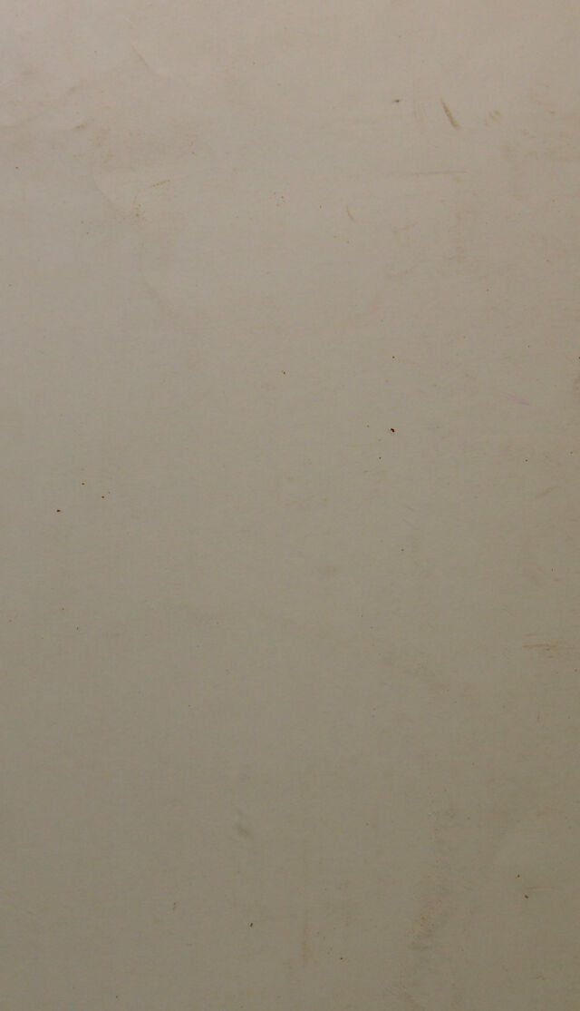 digitised image 2