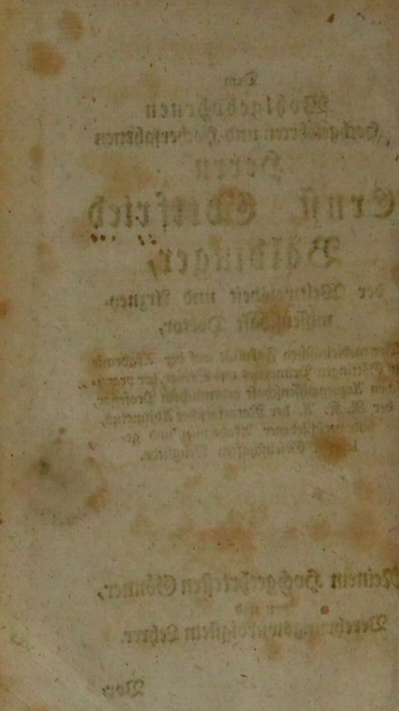 * mir.' ' y} »• ^ ; • >*?'£*. -i'* S*^ < ; v ’ ' ' ► » » ■ r>1 ■l: ti f';' r> - ' ' . • ^U' 1 ■ f ■ <•***?