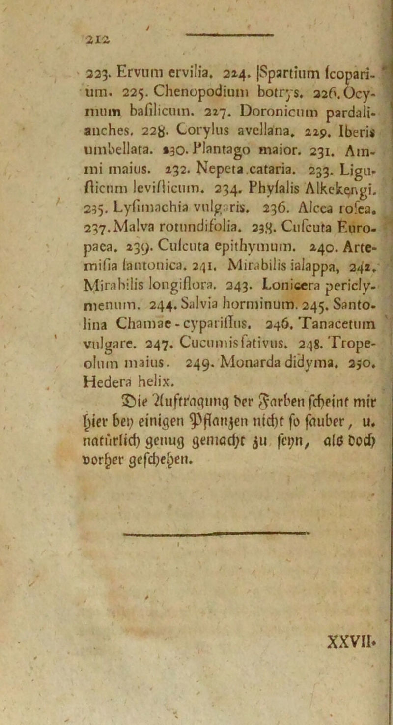 223- Ervurn ervilia. 214. (Spartium (copari- urn. 225. Chenopodium botrys, 326. Ocy- mum baiilicmn. 227. Doronicum pardali« anches. 22b- Corylus avellana. 229. Iberis uinbellata. »30- Plantago maior. 231. Am- ini maius. 232. Nepetacataria. 233. Ligu- flicnm levillieum. 234. Phvfalis Alkckengi. 235. Lyfimachia vulgaris. 236. Aicea io!ca. 237.Malva rotundifolia. 23g. Cufcuta Euro- paea. 239. Culcuta epithymum. 240. Arte- mida iantonica. 341. Mirabilis ialappa, 242. I Mirahilis longiflora. 343. Lonicera pericly- menum. 244. Salvia horminum. 245. Santo- Jina Chamae - cyparillus. 346. Tanacetmn vulgare. 247. Cucumisfativns. 248. Trope- olum maius. 249. Monarda didyma. 250. Hedera helix. £>ie 'tfuftrtigung ber Farben fcfieint mir hier bei; einigen ^ftonjen nicht fo fnuber, u. natürlich genug gemacht 511 fct?n, oltf t?ocf? Dörfer gefächen. — XXVII* .. * . .