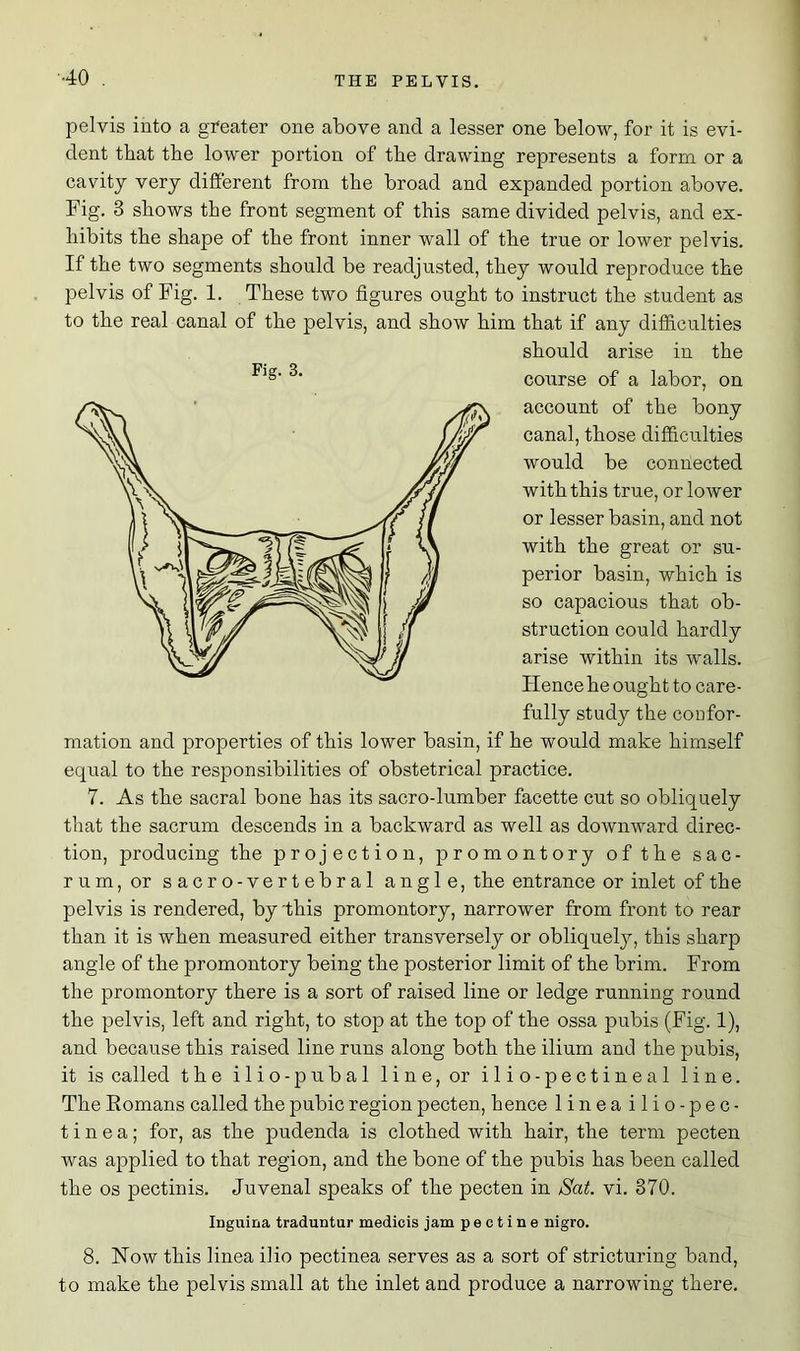 pelvis into a greater one above and a lesser one below, for it is evi- dent that the lower portion of tbe drawing represents a form or a cavity very different from tbe broad and expanded portion above. Fig. 3 shows tbe front segment of this same divided pelvis, and ex- hibits the shape of the front inner wall of the true or lower pelvis. If the two segments should be readjusted, they would reproduce the pelvis of Fig. 1. These two figures ought to instruct the student as to the real canal of the pelvis, and show him that if any difficulties should arise in the course of a labor, on account of the bony canal, those difficulties would be connected with this true, or lower or lesser basin, and not with the great or su- perior basin, which is so capacious that ob- struction could hardly arise within its walls. Hence he ought to care- fully study the confor- mation and properties of this lower basin, if he would make himself equal to the responsibilities of obstetrical practice. 7. As the sacral bone has its sacro-lumber facette cut so obliquely that the sacrum descends in a backward as well as downward direc- tion, producing the projection, promontory of the sac- rum, or sacro-vertebral angle, the entrance or inlet of the pelvis is rendered, by this promontory, narrower from front to rear than it is when measured either transversely or obliquely, this sharp angle of the promontory being the posterior limit of the brim. From the promontory there is a sort of raised line or ledge running round the pelvis, left and right, to stop at the top of the ossa pubis (Fig. 1), and because this raised line runs along both the ilium and the pubis, it is called the ilio-pubal line, or ilio-pectineal line. The Romans called the pubic region pecten, hence linea ilio-pec- tinea; for, as the pudenda is clothed with hair, the term pecten was applied to that region, and the bone of the pubis has been called the os pectinis. Juvenal speaks of the pecten in Sat. vi. 370. Inguina traduntur medicis jam p e c t i n e nigro. 8. Now this linea ilio pectinea serves as a sort of stricturing band, to make the pelvis small at the inlet and produce a narrowing there.