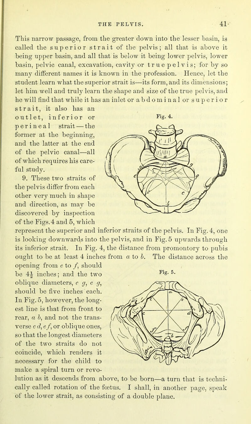 This narrow passage, from the greater clown into the lesser basin, is called the superior strait of the pelvis; all that is above it being upper basin, and all that is below it being lower pelvis, lower basin, pelvic canal, excavation, cavity or true pelvis; for by so many different names it is known in the profession. Hence, let the student learn what the superior strait is—its form, and its dimensions; let him well and truly learn the shape and size of the true pelvis, and he will find that while it has an inlet or abdominal or superior strait, it also has an perineal strait — the former at the beginning, and the latter at the end of the pelvic canal—all of which requires his care- ful study. 9. These two straits of the pelvis differ from each other very much in shape and direction, as may be discovered by inspection of the Figs. 4 and 5, which represent the superior and inferior straits of the pelvis. In Fig. 4, one is looking downwards into the pelvis, and in Fig. 5 upwards through its inferior strait. In Fig. 4, the distance from promontory to pubis ought to be at least 4 inches from a to b. The distance across the opening from e to /, should be 4| inches; and the two oblique diameters, c g, c g, should be five inches each. In Fig. 5, however, the long- est line is that from front to rear, a 5, and not the trans- verse c d, e/, or oblique ones, so that the longest diameters of the two straits do not coincide, which renders it necessary for the child to make a spiral turn or revo- lution as it descends from above, to be born—a turn that is techni- cally called rotation of the foetus. I shall, in another page, speak of the lower strait, as consisting of a double plane.