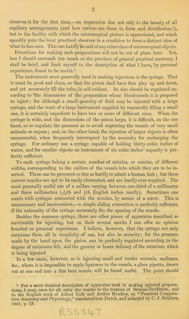 digitised image 2