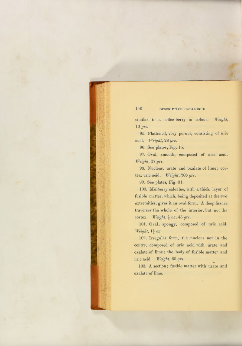 similar to a coffee-berry in colour. Weighty 10 grs. 95. Flattened, very porous, consisting of uric acid. Weight, 28 grs. 96. See plates, Fig. 15. 97. Oval, smooth, composed of uric acid. Weight, 27 grs. 98. Nucleus, urate and oxalate of lime; cor- tex, uric acid. Weight, 208 grs. 99. See plates, Fig. 31. 100. Mulberry calculus, with a thick layer of fusible matter, which, being deposited at the two extremities, gives it an oval form. A deep fissure traverses the whole of the interior, but not the cortex. Weight, ^ oz. 45 grs. 101. Oval, spongy, composed of uric acid. Weight, 1|^ oz. 102. Irregular form, the nucleus not in the centre, composed of uric acid with urate and oxalate of lime; the body of fusible matter and uric acid. Weight, 60 grs. 103. A section; fusible matter with urate and oxalate of lime.
