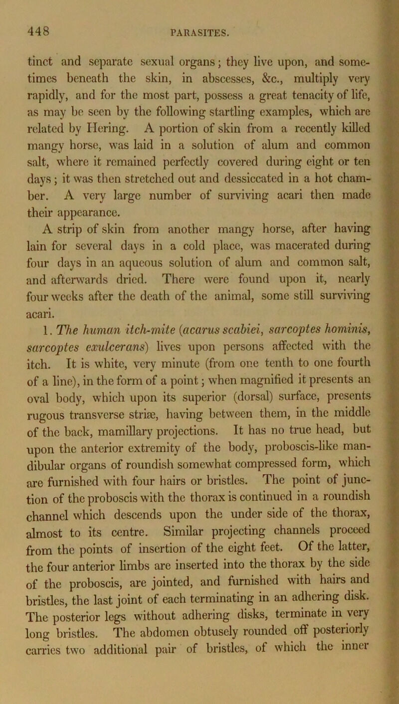 tinct and separate sexual organs; they live upon, and some- times beneath the skin, in abscesses, &c., multiply very rapidly, and for the most part, possess a great tenacity of life, as may be seen by the following startling examples, which are related by Hering. A portion of skin from a recently killed mangy horse, was laid in a solution of alum and common salt, where it remained perfectly covered during eight or ten days; it was then stretched out and dessiccated in a hot cham- ber. A very large number of surviving acari then made their appearance. A strip of skin from another mangy horse, after having lain for several days in a cold place, wras macerated during four days in an aqueous solution of alum and common salt, and afterwards dried. There were found upon it, nearly four weeks after the death of the animal, some still surviving acari. 1. The human itch-mite (acarus scabiei, sarcoptes hominis, sarcoptes exulcerans) lives upon persons affected with the itch. It is white, very minute (from one tenth to one fourth of a line), in the form of a point; when magnified it presents an oval body, which upon its superior (dorsal) surface, presents rugous transverse strife, having between them, in the middle of the back, mamillary projections. It has no true head, but upon the anterior extremity of the body, proboscis-like man- dibular organs of roundish somewhat compressed form, which are furnished with four hairs or bristles. The point of junc- tion of the proboscis with the thorax is continued in a roundish channel which descends upon the under side of the thorax, almost to its centre. Similar projecting channels proceed from the points of insertion of the eight feet. Of the latter, the four anterior limbs are inserted into the thorax by the side of the proboscis, are jointed, and furnished with hairs and bristles, the last joint of each terminating in an adhering disk. The posterior legs without adhering disks, terminate in very long bristles. The abdomen obtusely rounded off posteriorly carries two additional pair of bristles, of which the inner