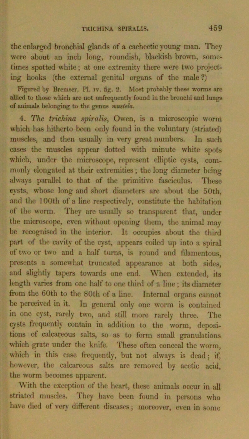 the enlarged bronchial glands of a cachectic young man. They were about an inch long, roundish, blackish brown, some- times spotted white; at one extremity there were two project- ing hooks (the external genital organs of the male ?) Figured by Bremser, PI. iv. fig. 2. Moat probably these worms are allied to those which are not unfrequently found iu the bronchi and lungs of animals l>elonging to the genus mustela. 4. The trichina spiralis, Owen, is a microscopic worm which has hitherto been only found in the voluntary (striated) muscles, and then usually in very great numbers. In such cases the muscles appear dotted with minute white spots which, under the microscope, represent elliptic cysts, com- monly elongated at their extremities; the long diameter being always parallel to that of the primitive fasciculus. These cysts, whose long and short diameters are about the 50th, and the 100th of a line respectively, constitute the habitation of the worm. They are usually so transparent that, under the microscope, even without opening them, the animal may be recognised in the interior. It occupies about the third part of the cavity of the cyst, appears coiled up into a spiral of two or two and a half turns, is round and filamentous, presents a somewhat truncated appearance at both sides, and slightly tapers towards one end. When extended, its length varies from one half to one third of a line ; its diameter from the 60th to the 80th of a line. Internal organs cannot be perceived in it. In general only one worm is contained in one cyst, rarely two, and still more rarely three. The cysts frequently contain in addition to the worm, deposi- tions of calcareous salts, so as to form small granulations which grate under the knife. These often conceal the worm, which in this case frequently, but not always is dead; if, however, the calcareous salts are removed by acetic acid, the worm becomes apparent. With the exception of the heart, these animals occur in all striated muscles. They have been found in persons who have died of very different diseases; moreover, even in some